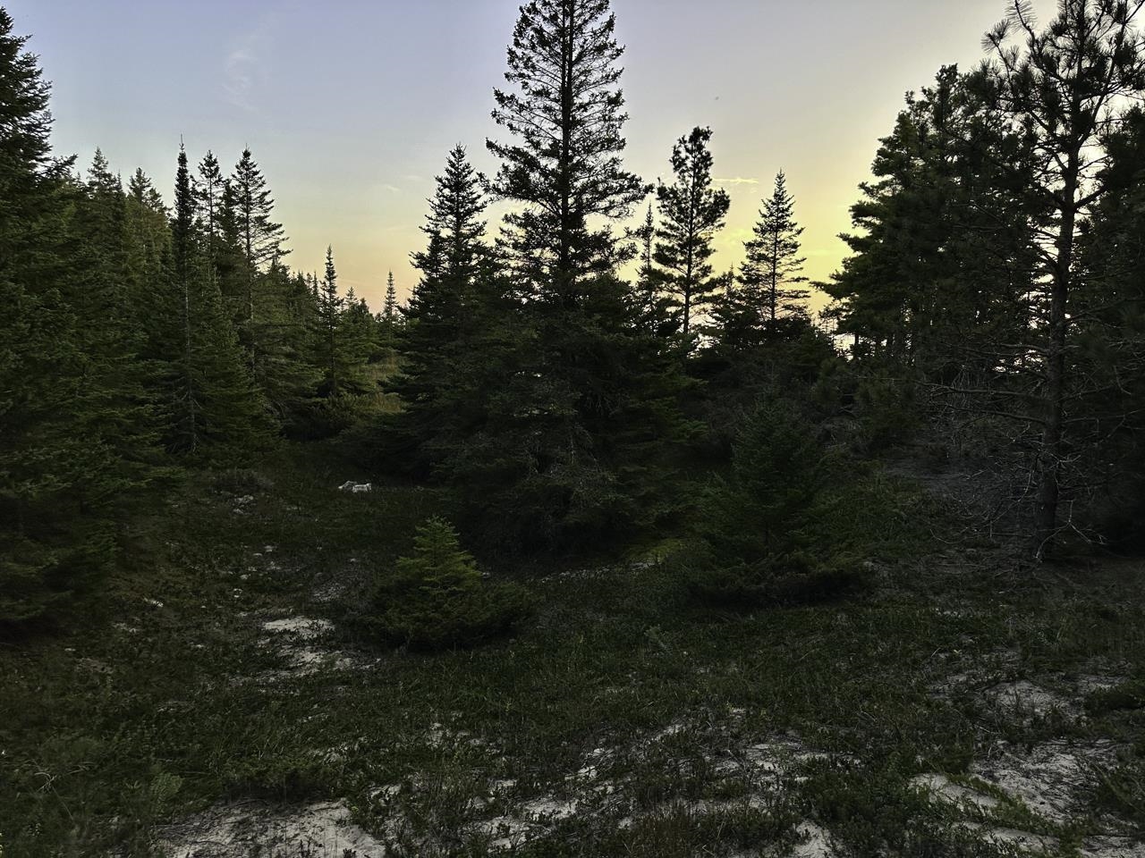 TBD Mrs Reddings Trail Parcel #5 photo 31