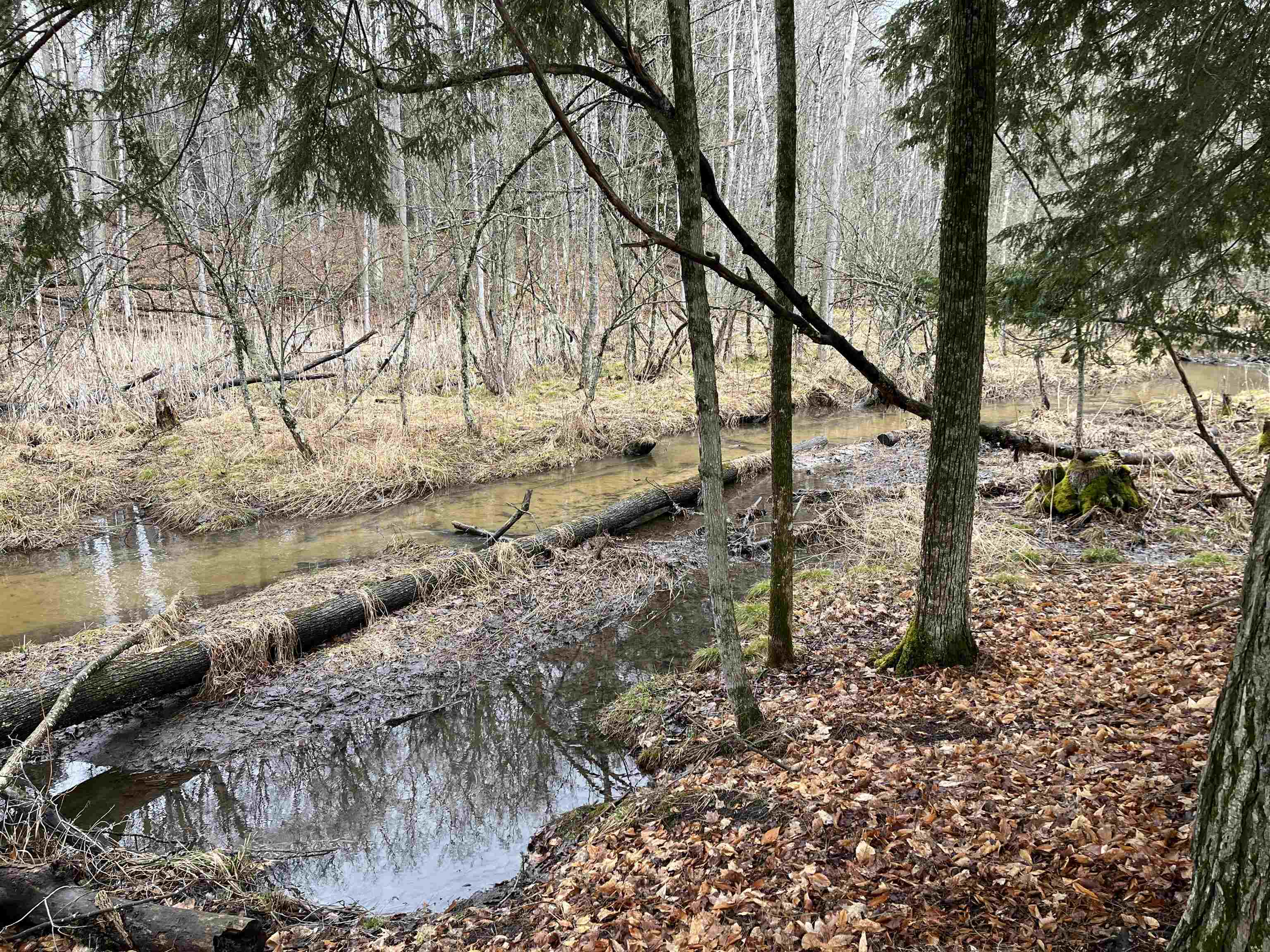 Homes for sale in South Branch Township Wexford, MI | M 55, South Branch Township Wexford, MI 49689 | MLS# 78080053985