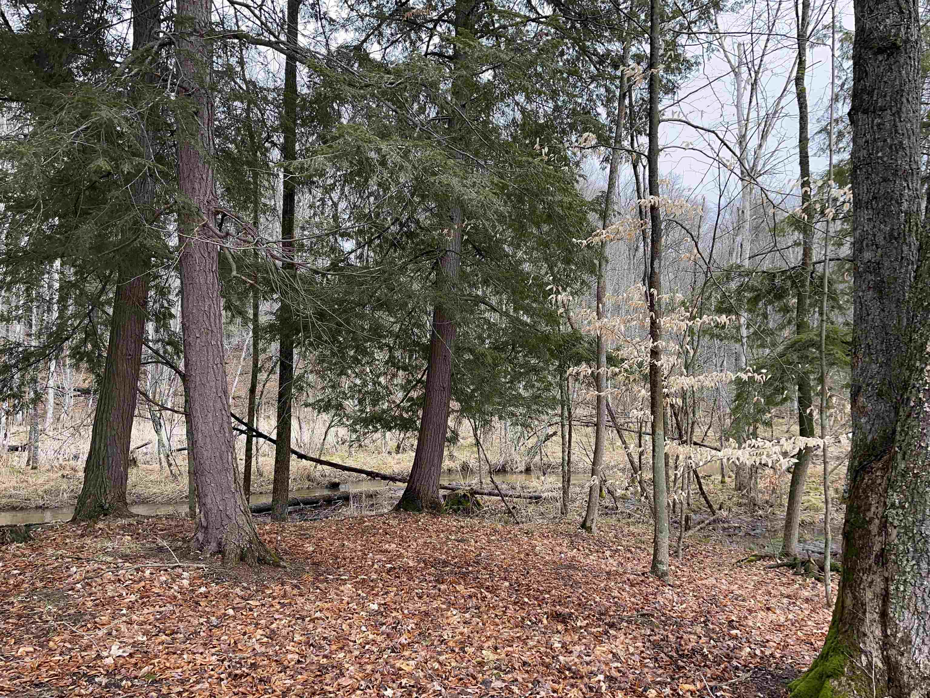 Homes for sale in South Branch Township Wexford, MI | M 55, South Branch Township Wexford, MI 49689 | MLS# 78080053985