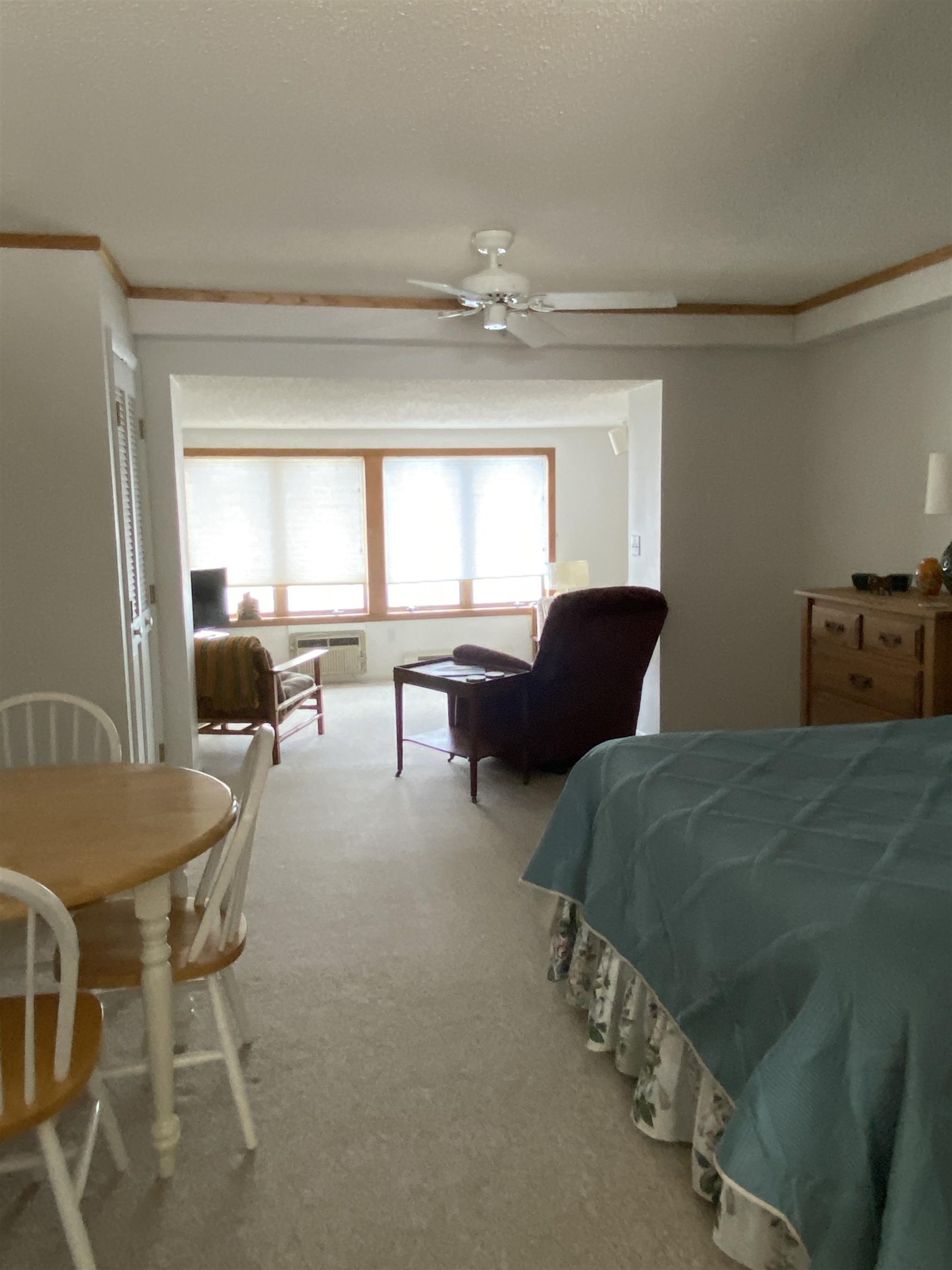 9059 Clam Lake Road UNIT&nbsp;2, Bellaire, MI, 49615