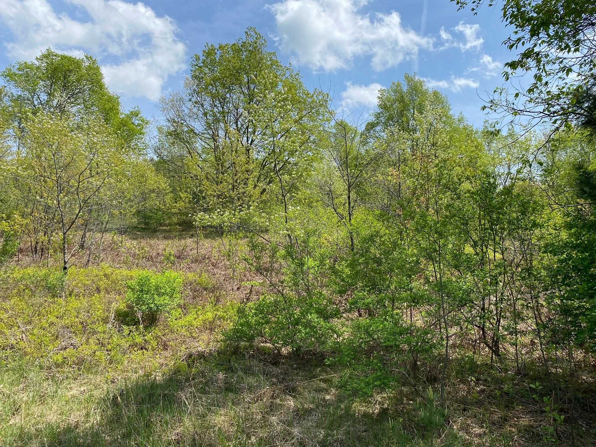 Photo 2 of Land for sale at Crestview Dr, Cadillac, MI 49601 | MLS# 78080056240 | Listing updated on 2026-05-03