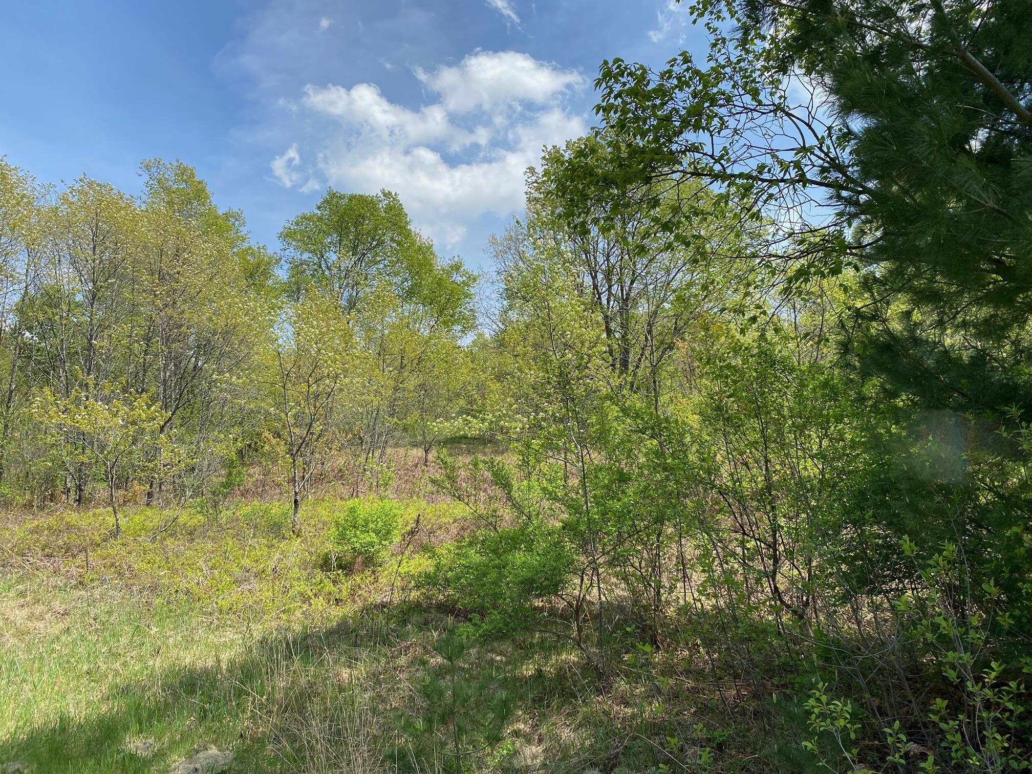Photo 3 of Land for sale at Crestview Dr, Cadillac, MI 49601 | MLS# 78080056240 | Listing updated on 2026-05-03