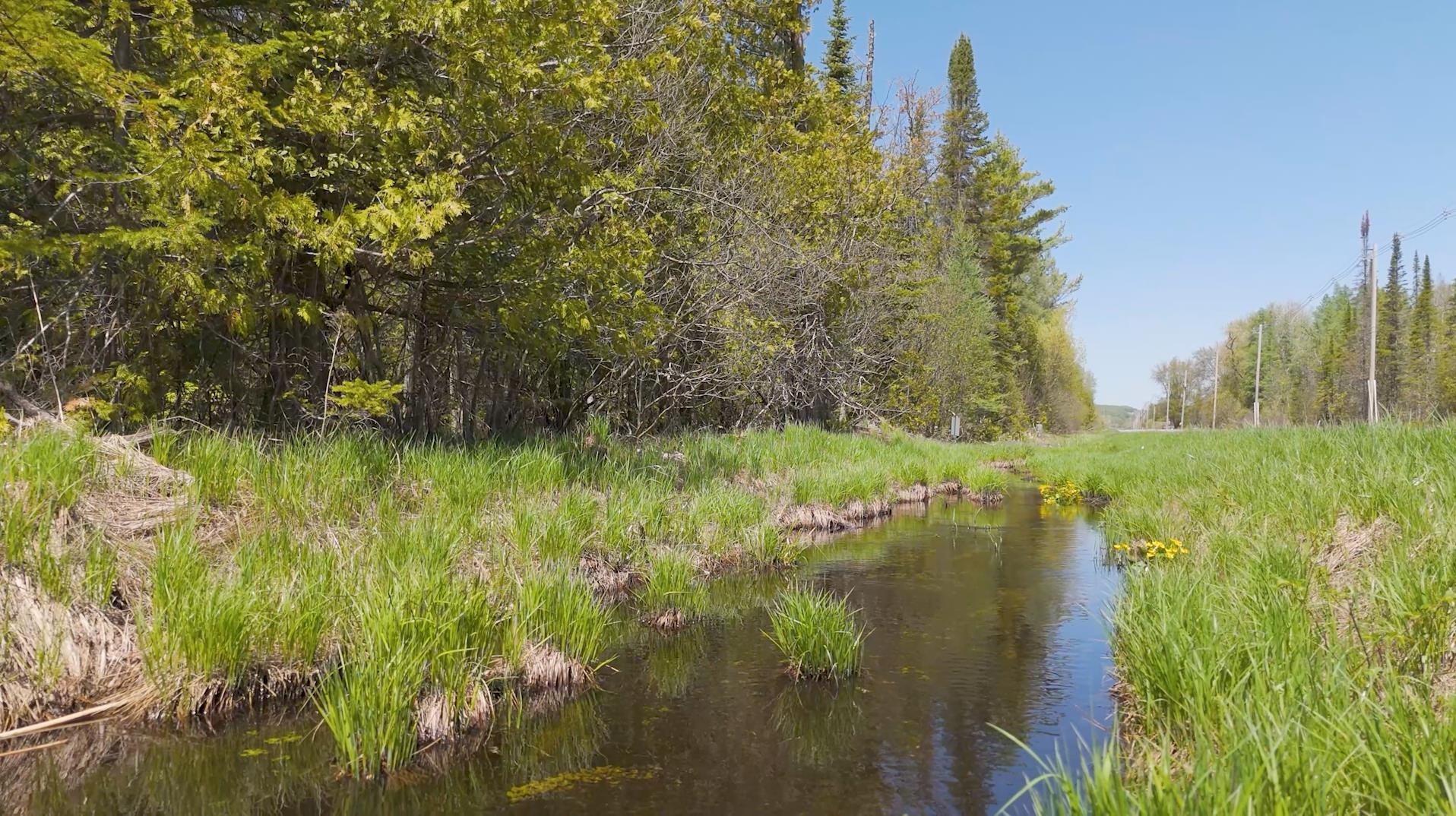Homes for sale in Suttons Bay Township Leelanau, MI | S Center Hwy, Suttons Bay Township Leelanau, MI 49682 | MLS# 78080057626