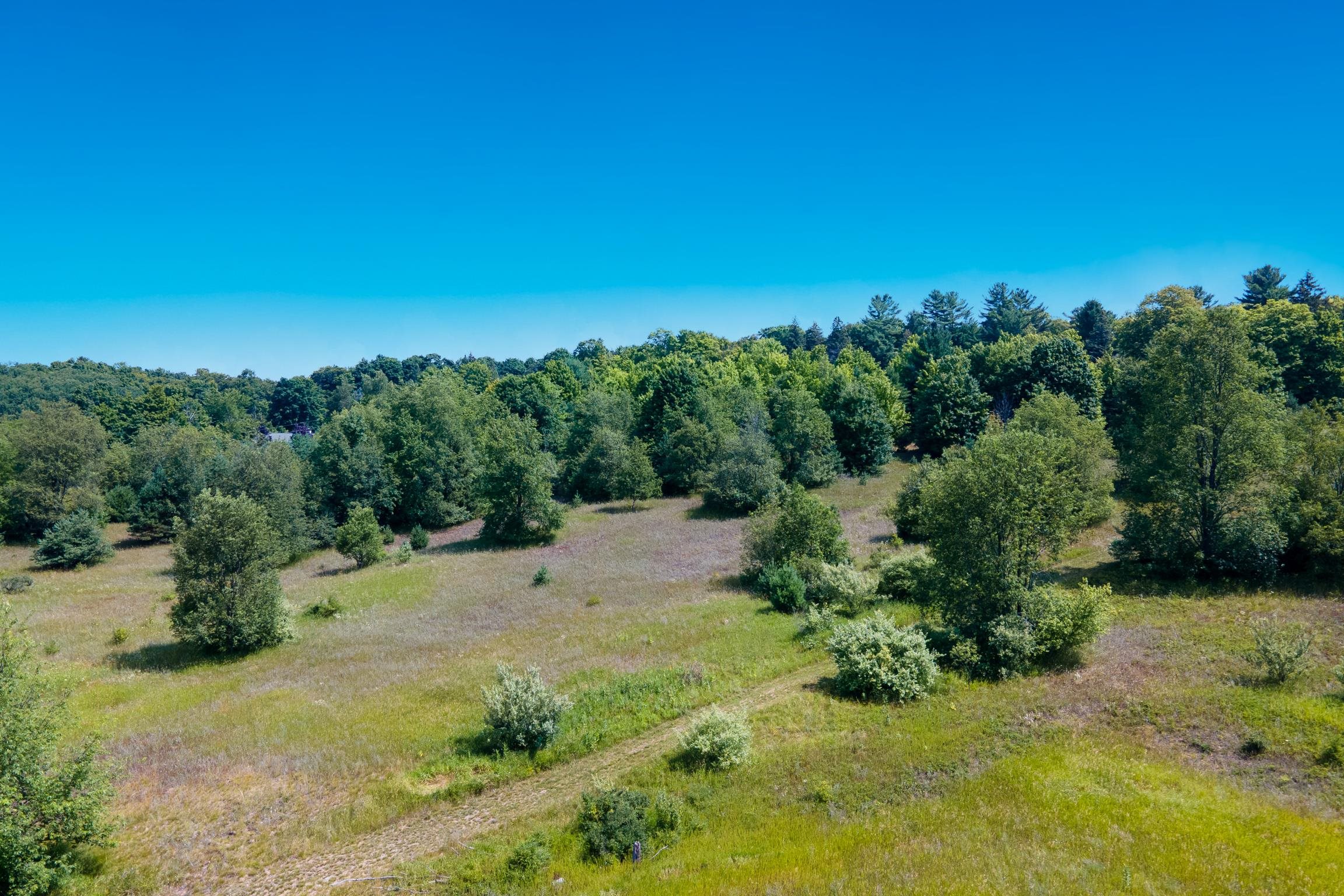 Homes for sale in Benzonia Township Benzie, MI | 000 South St, Benzonia Township Benzie, MI 49616 | MLS# 78080057986