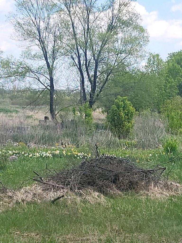 Homes for sale in Prescott, MI | 5229 Sage Lake Rd, Prescott, MI 48756 | MLS# 80058033