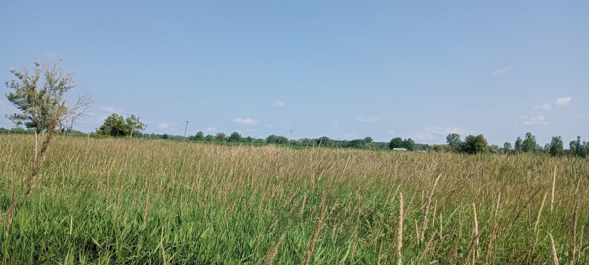 Homes for sale in Prescott, MI | 5229 Sage Lake Rd, Prescott, MI 48756 | MLS# 80058033