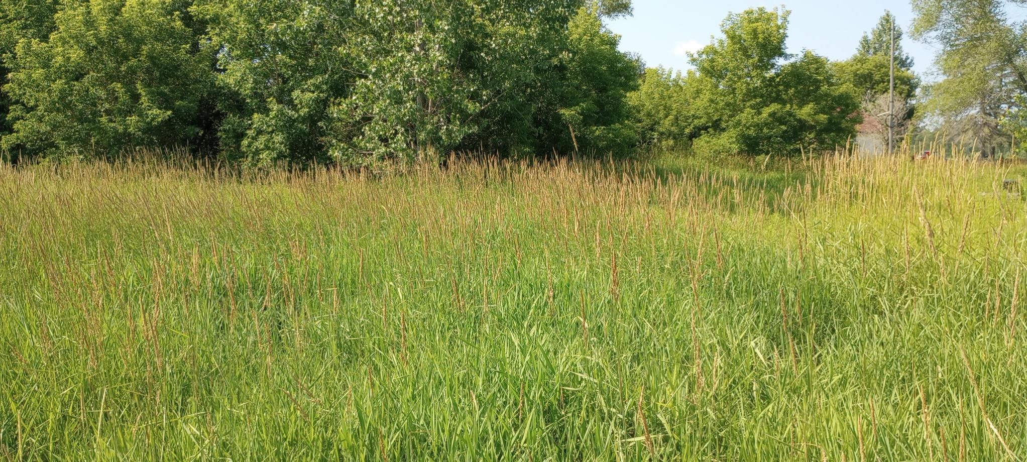 Homes for sale in Prescott, MI | 5229 Sage Lake Rd, Prescott, MI 48756 | MLS# 80058033