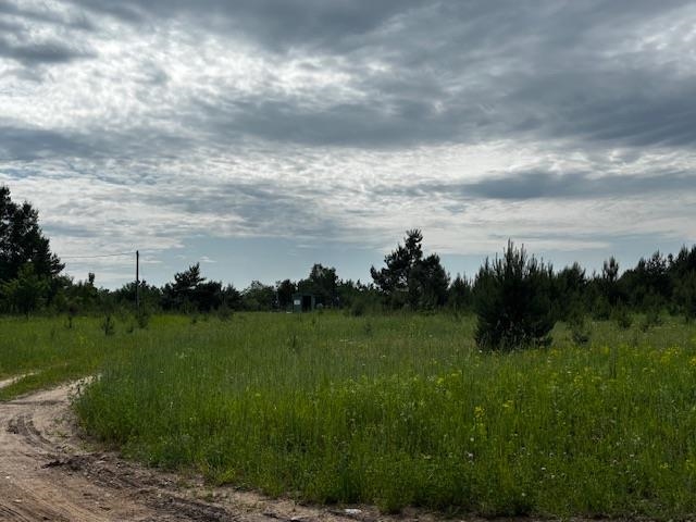 4856 Mancelona Road, Mancelona, MI, 49659