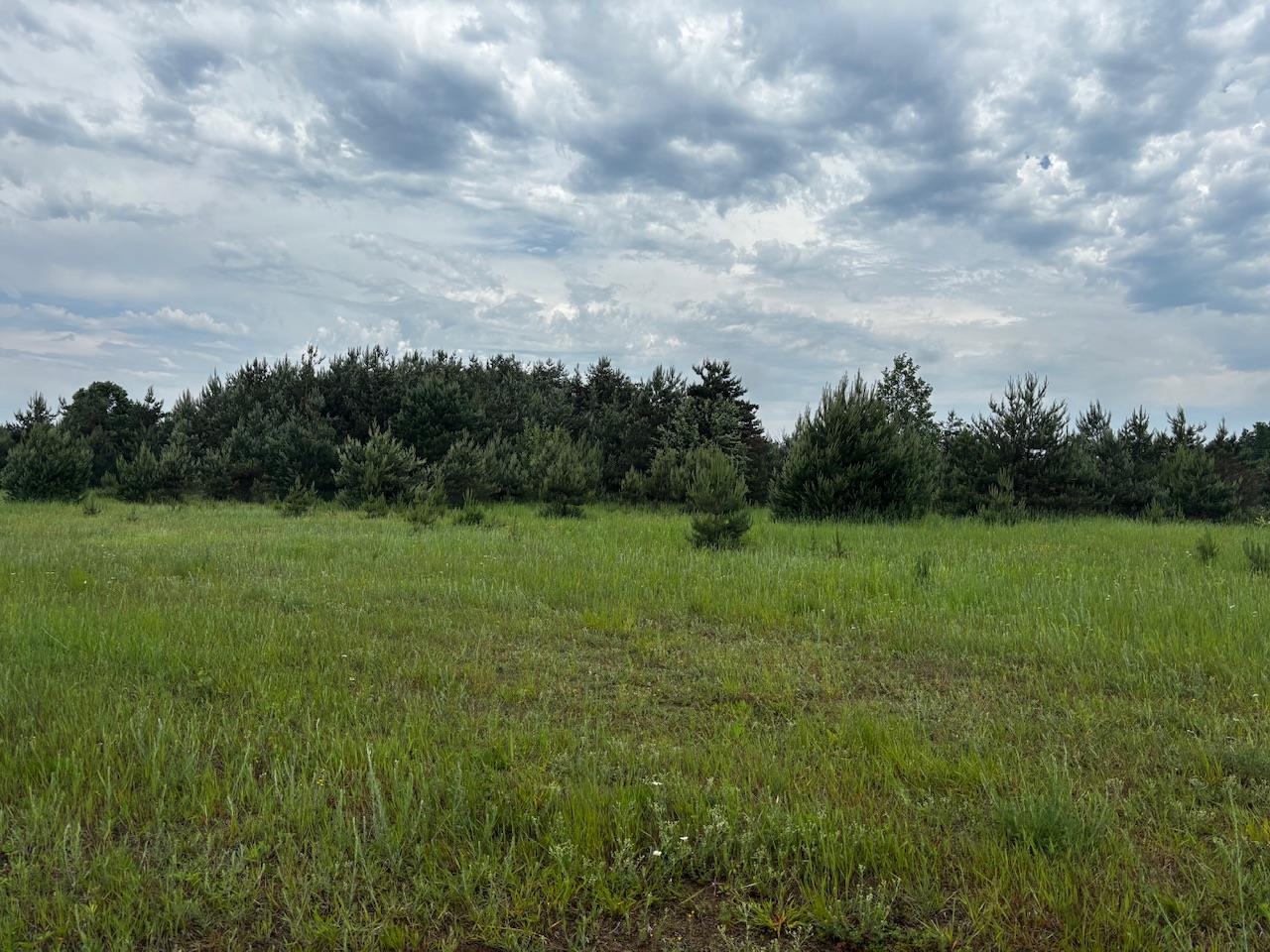 4856 Mancelona Road, Mancelona, MI, 49659