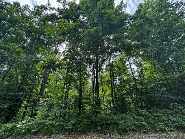 4856 Mancelona Road, Mancelona, MI, 49659