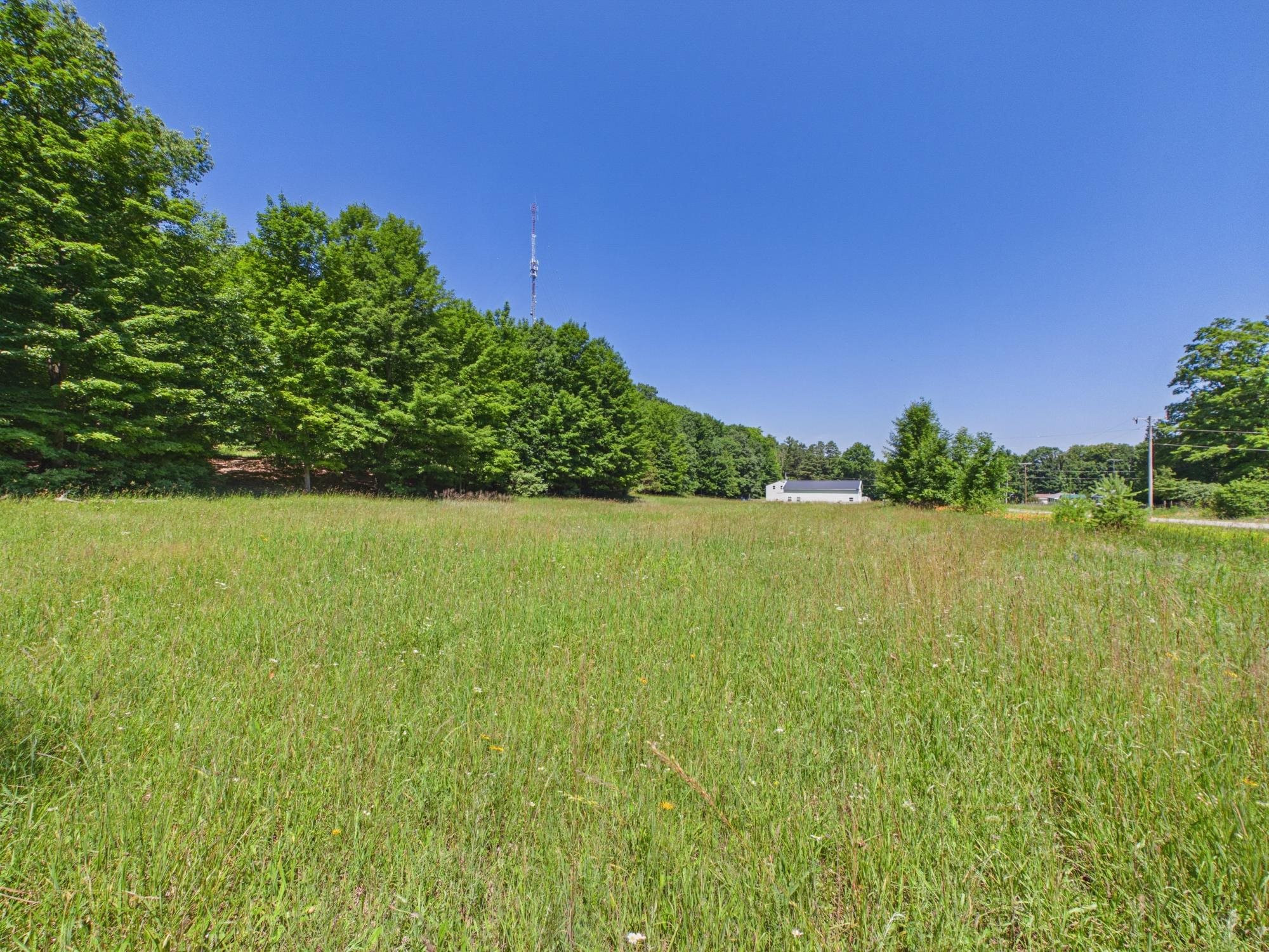 Homes for sale in Lake Leelanau, MI | V/l S Schomberg Rd, Lake Leelanau, MI 49653 | MLS# 78080060577