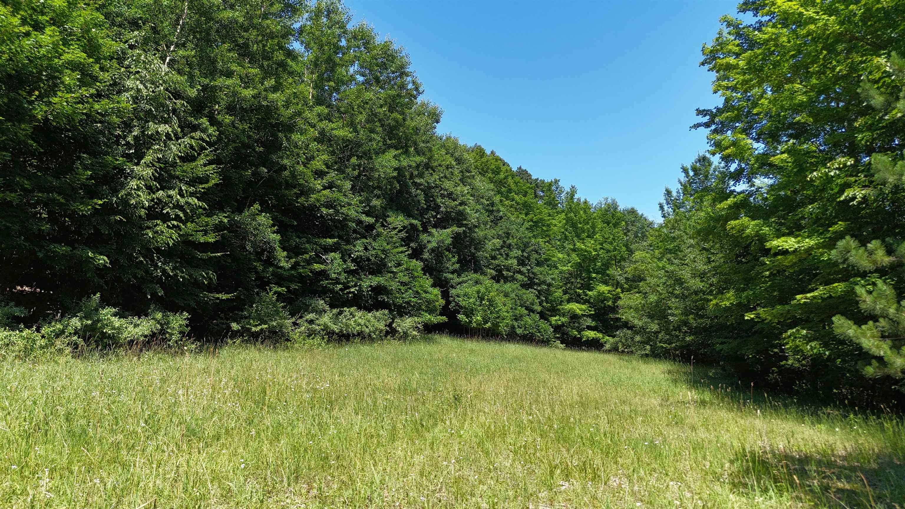 Homes for sale in Lake Leelanau, MI | V/l S Schomberg Rd, Lake Leelanau, MI 49653 | MLS# 78080060577