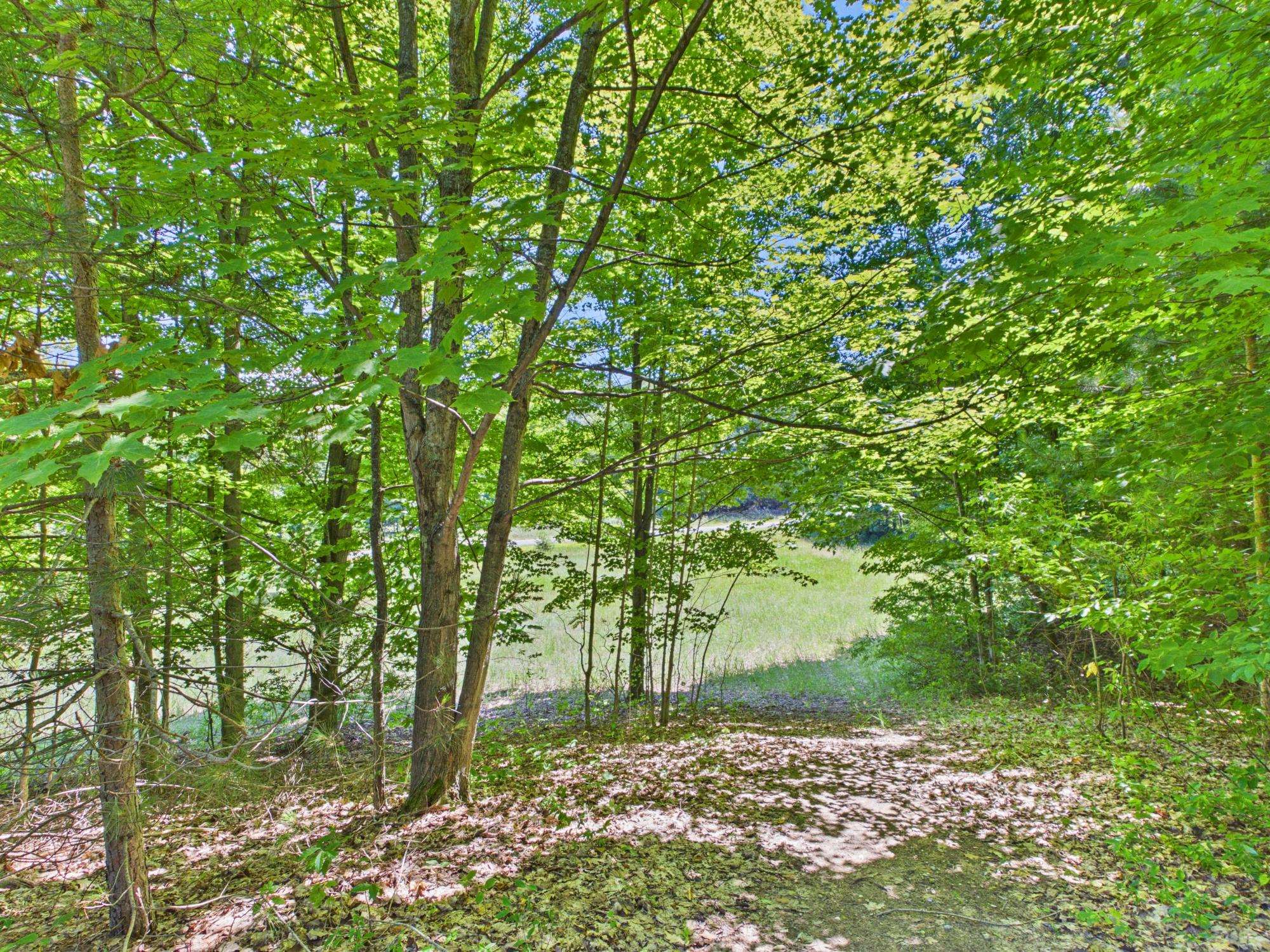 Photo 3 of Land for sale at V/L S Schomberg Rd, Lake Leelanau, MI 49653 | MLS# 78080060577 | Listing updated on 2026-09-21