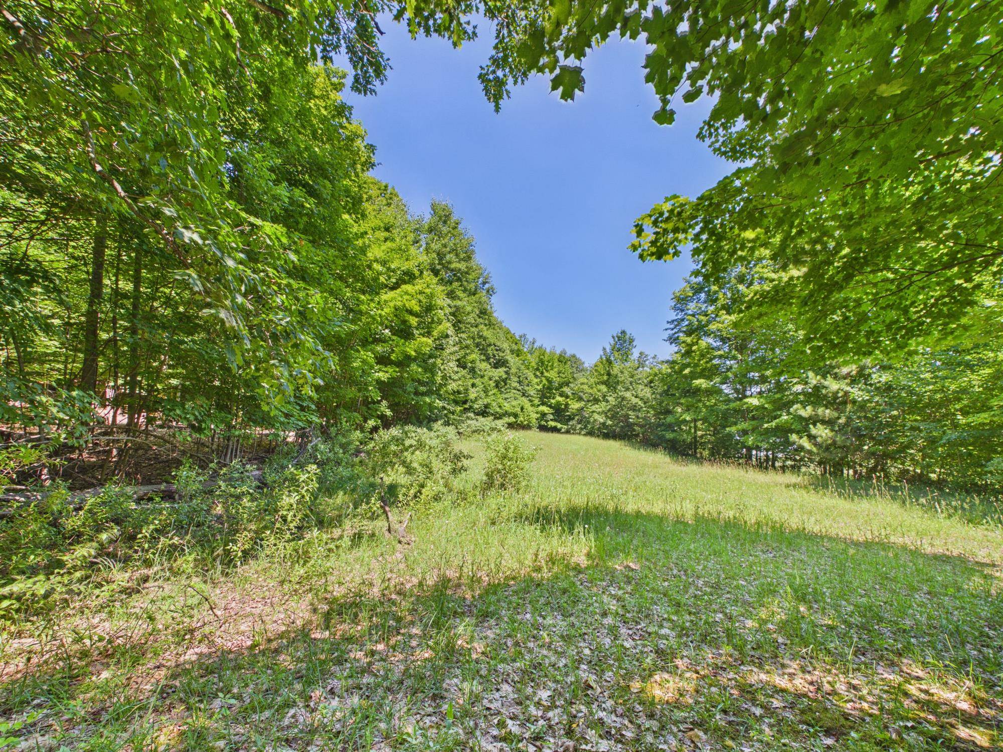 Photo 4 of Land for sale at V/L S Schomberg Rd, Lake Leelanau, MI 49653 | MLS# 78080060577 | Listing updated on 2026-09-21