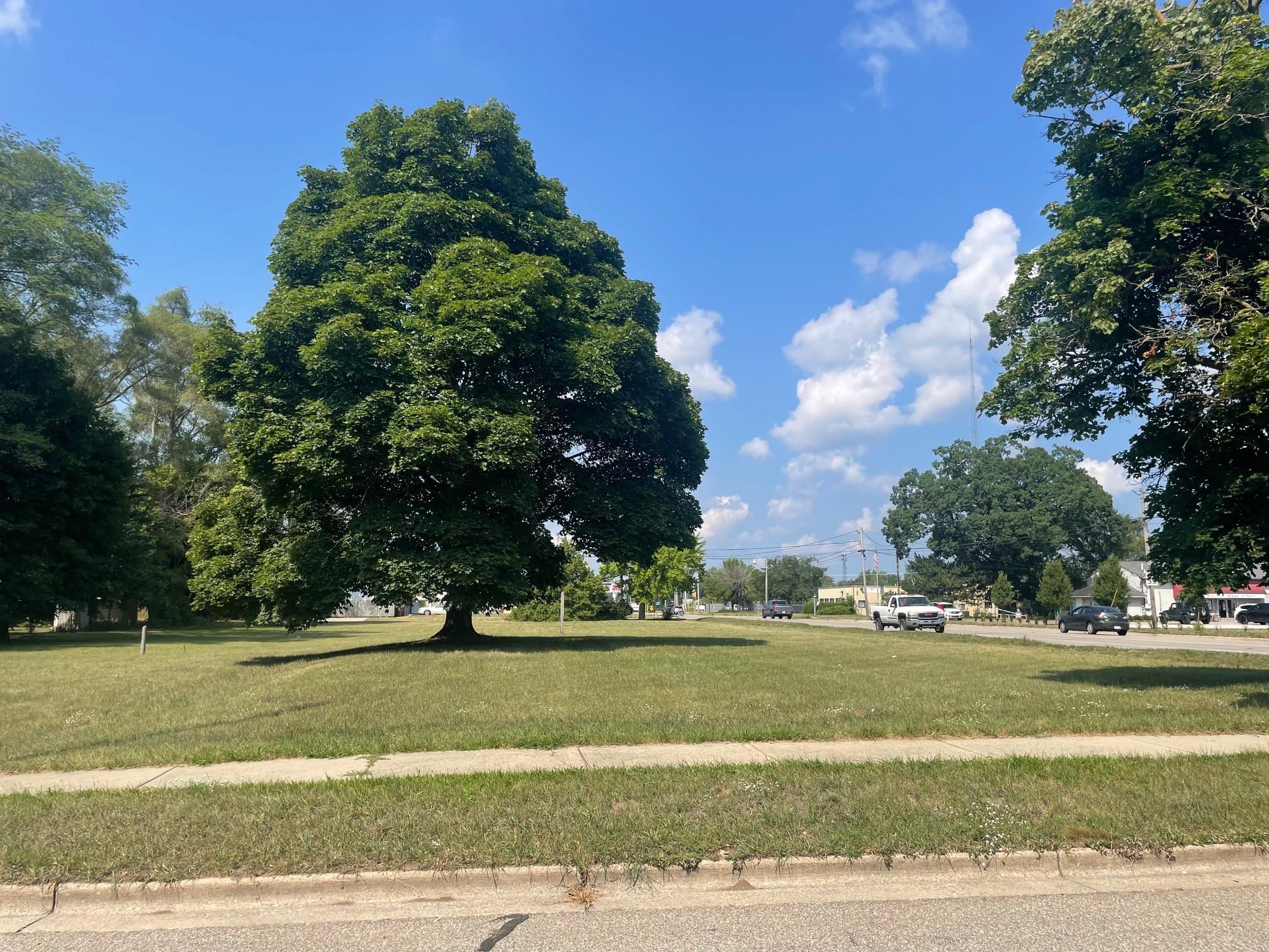 825 E Pickard Street, Mount Pleasant, MI, 48858