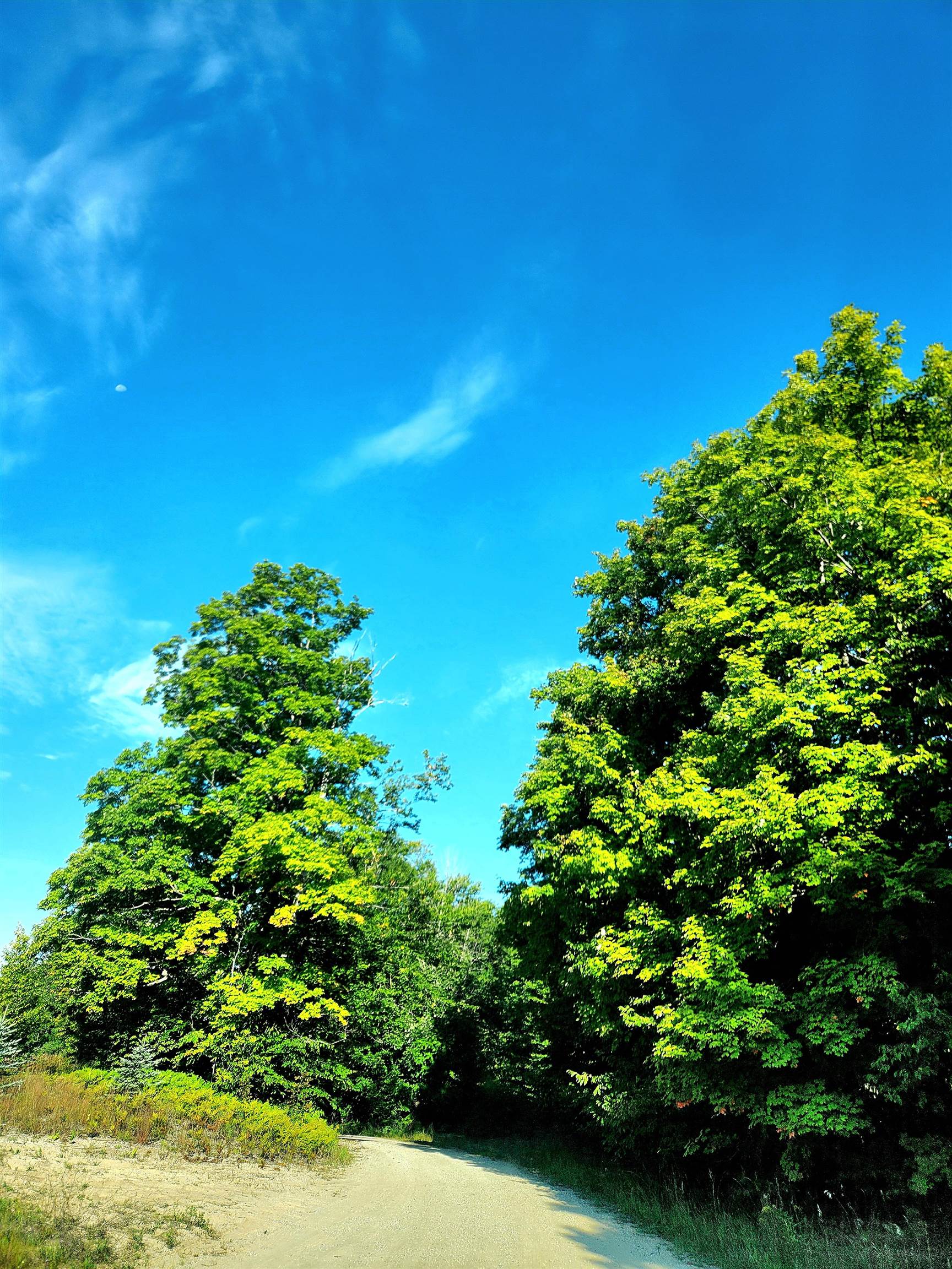 0 State Road, Kalkaska, MI, 49646