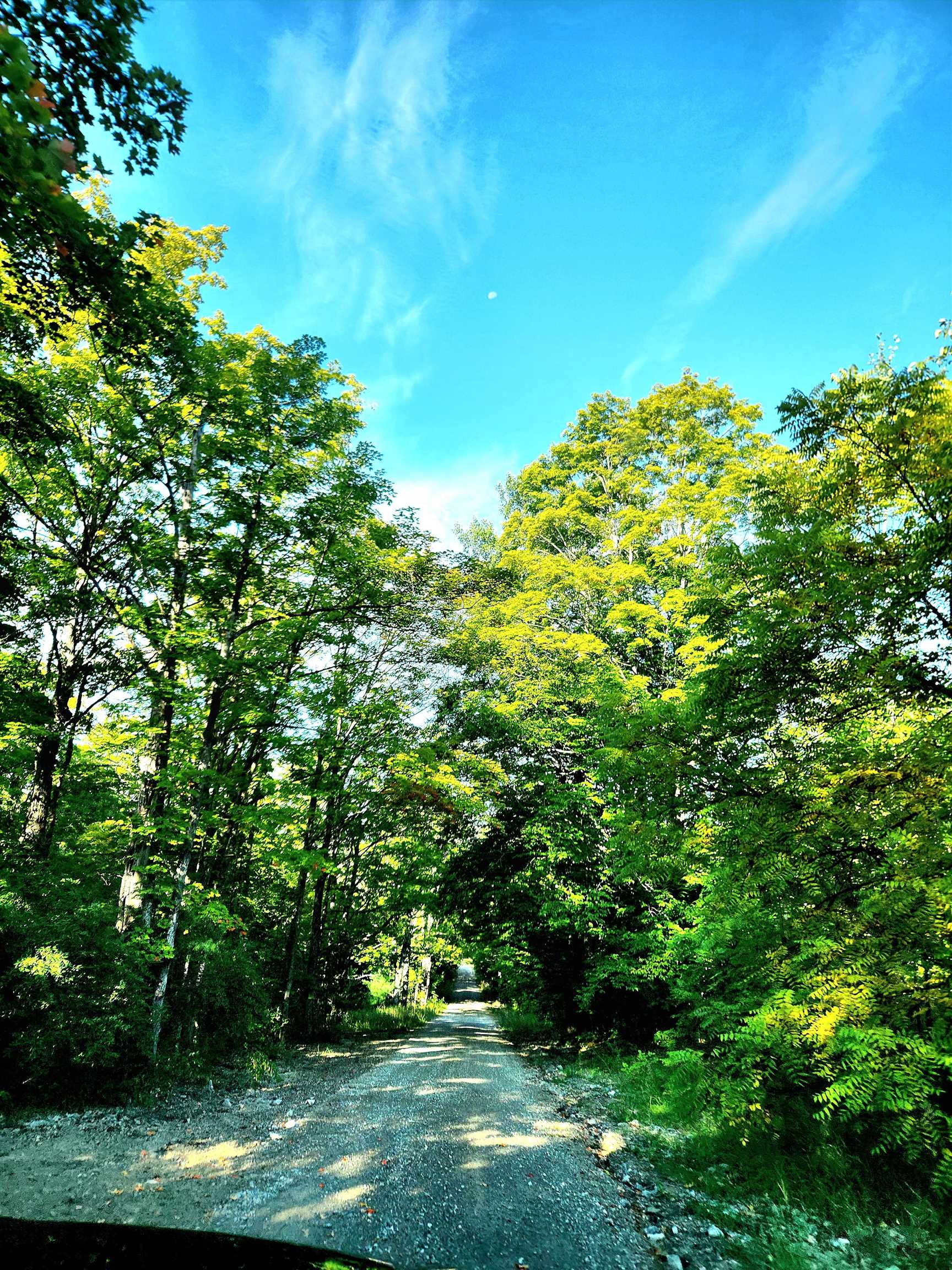 0 State Road, Kalkaska, MI, 49646