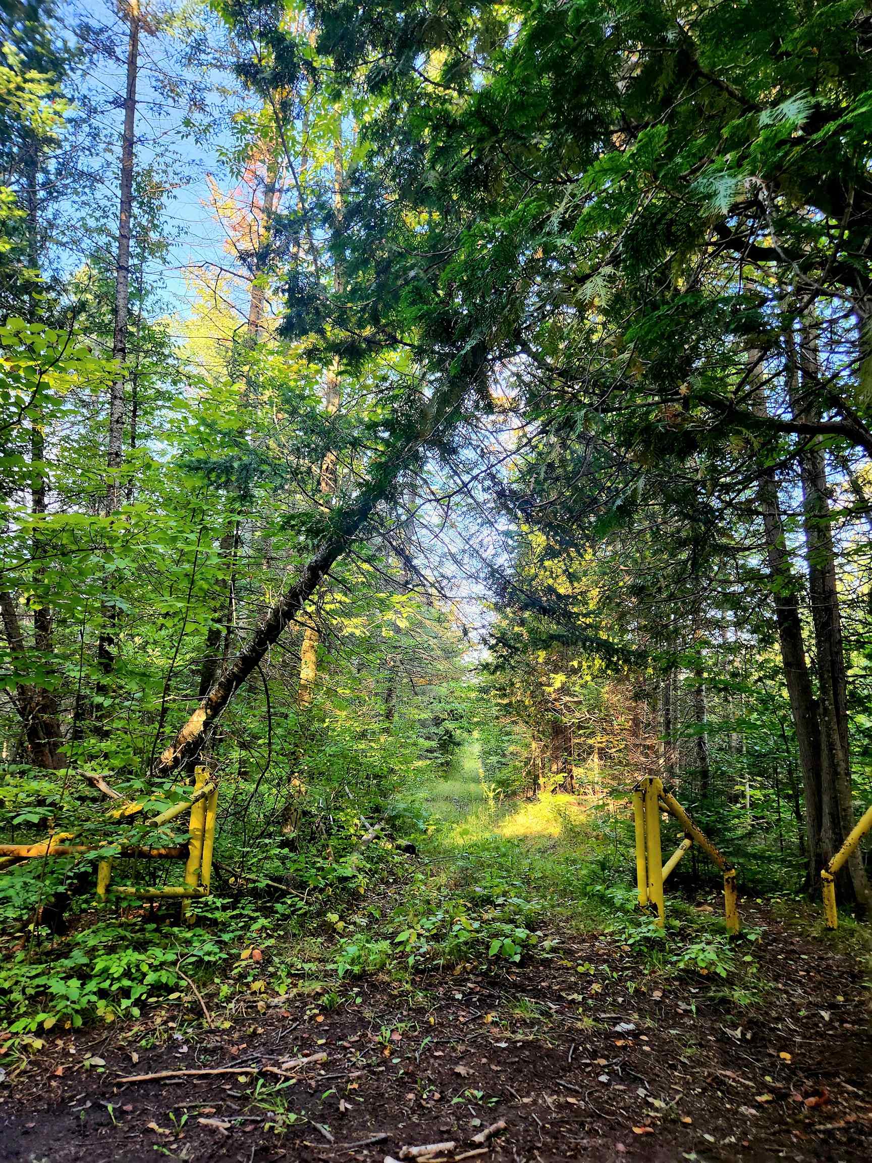 0 State Road, Kalkaska, MI, 49646