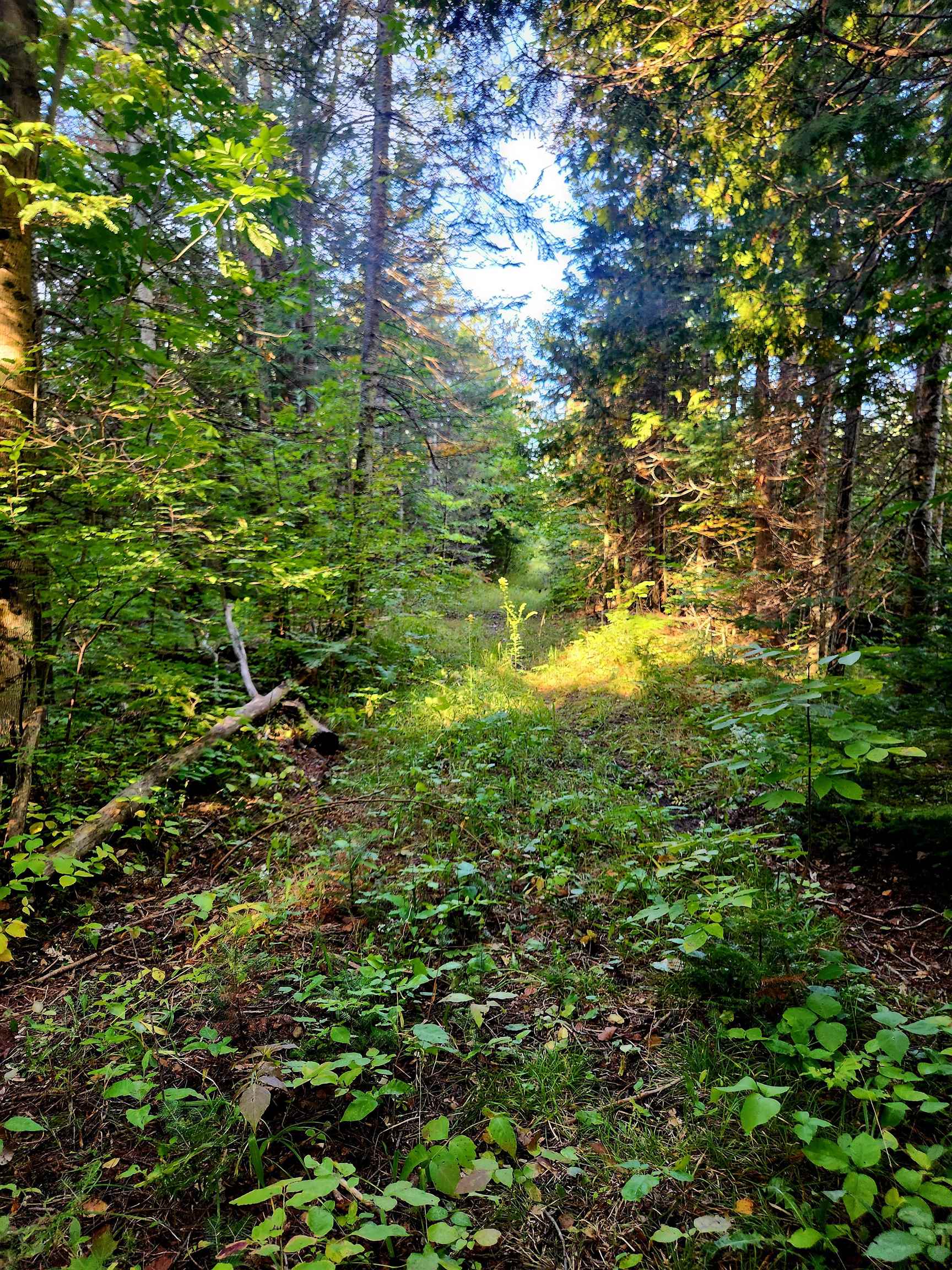 0 State Road, Kalkaska, MI, 49646