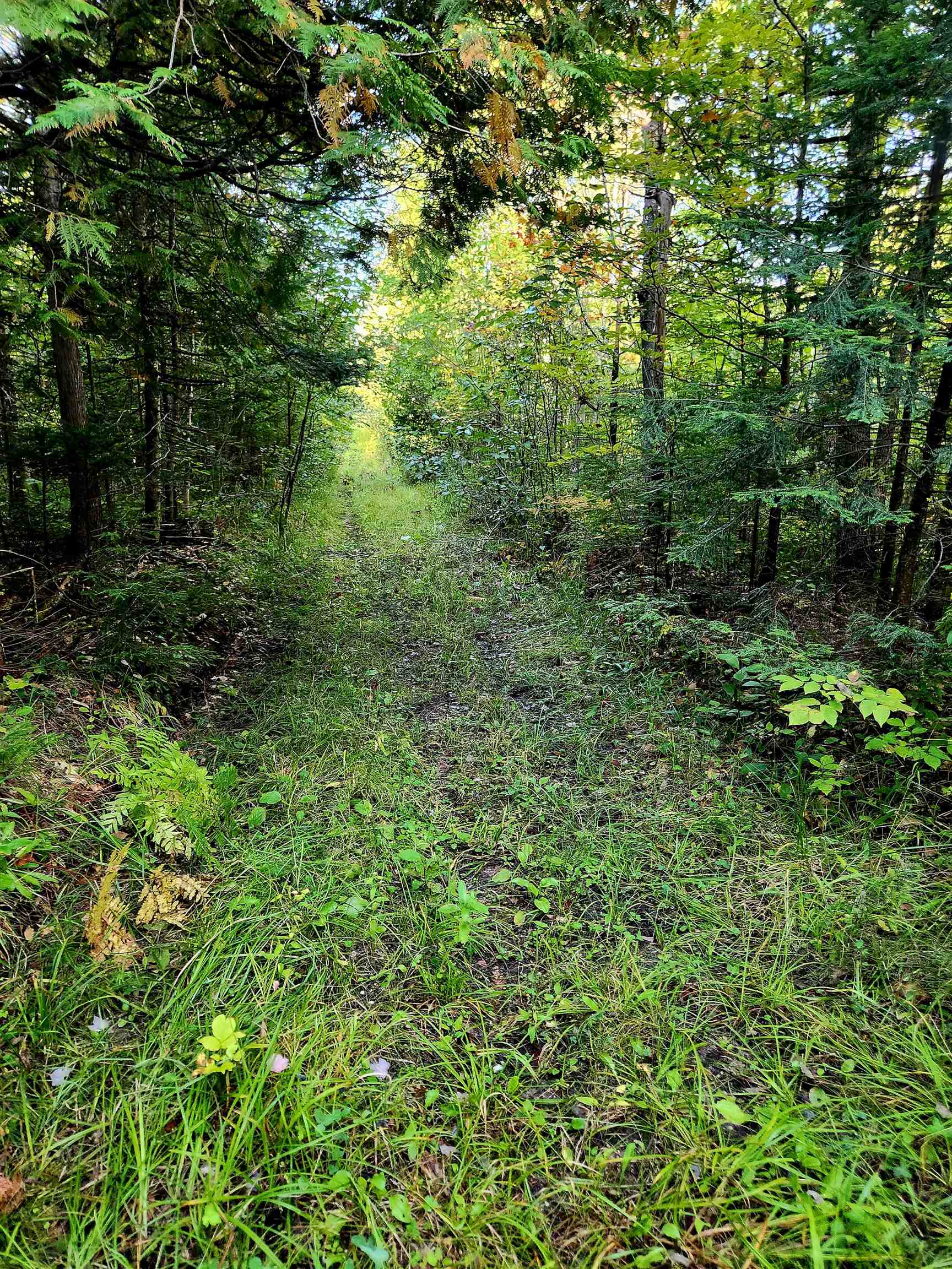 0 State Road, Kalkaska, MI, 49646