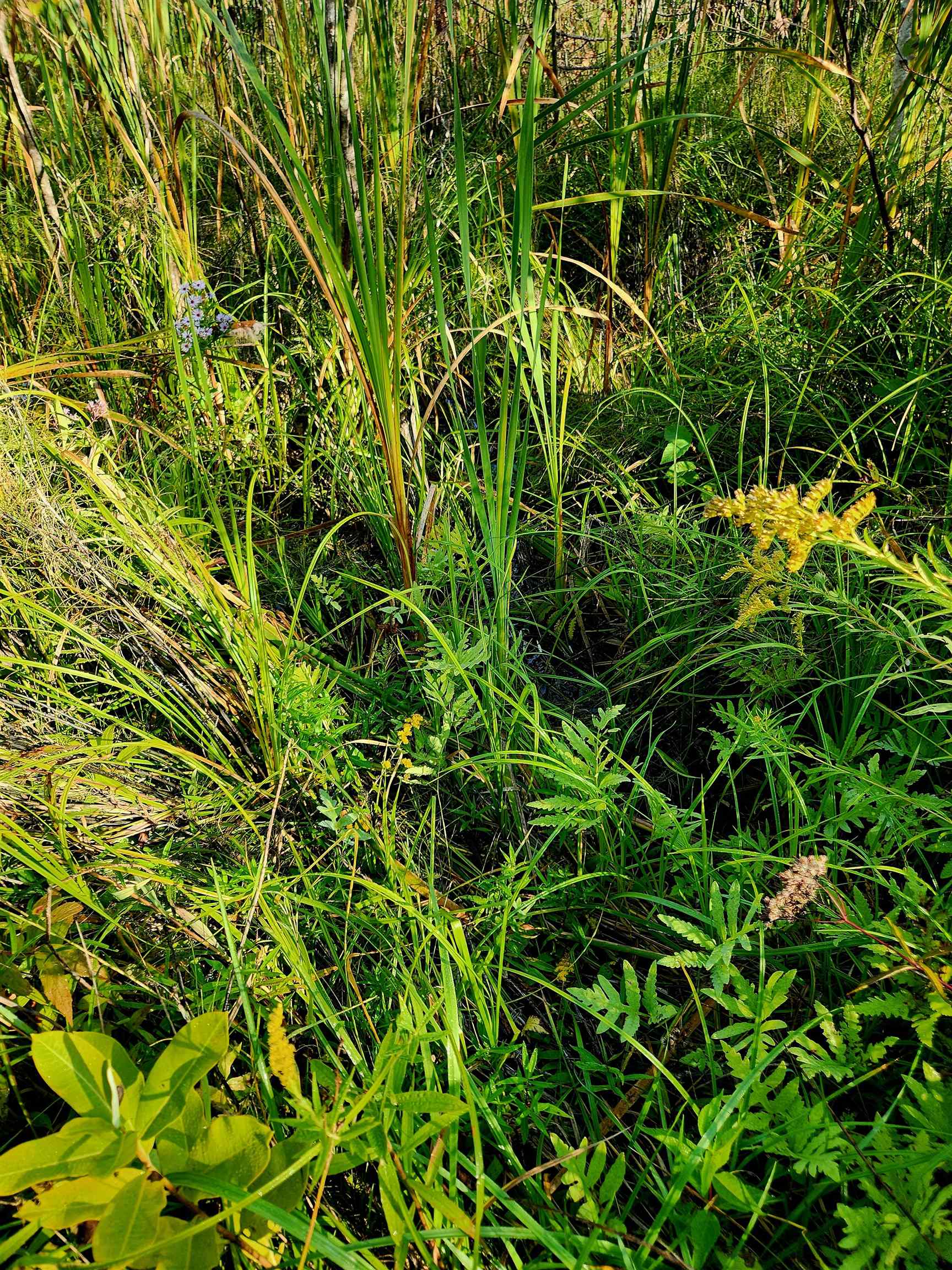 0 State Road, Kalkaska, MI, 49646