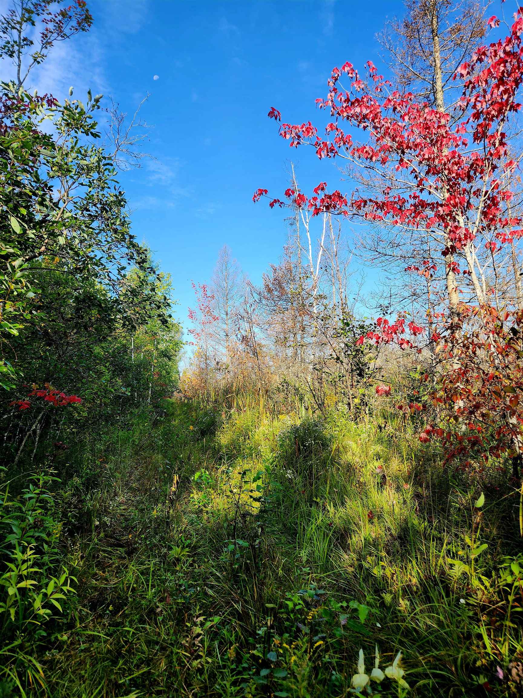 0 State Road, Kalkaska, MI, 49646