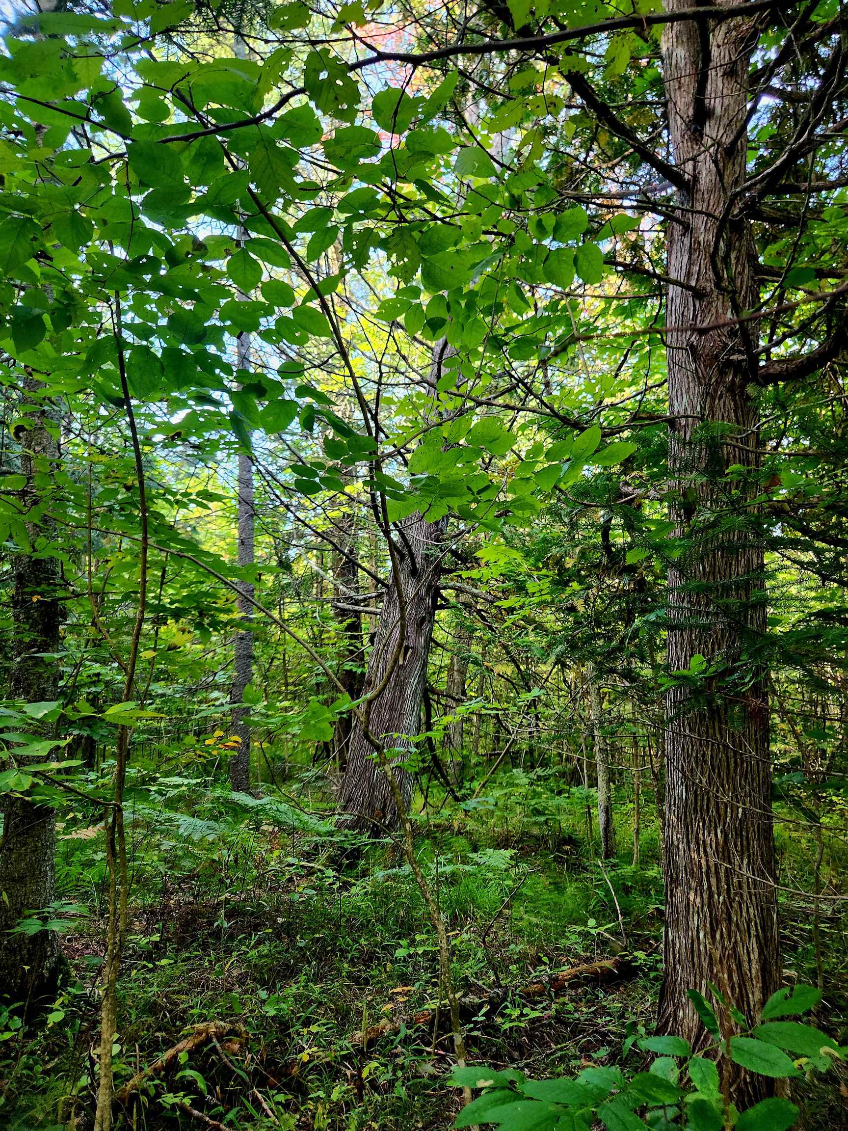 0 State Road, Kalkaska, MI, 49646