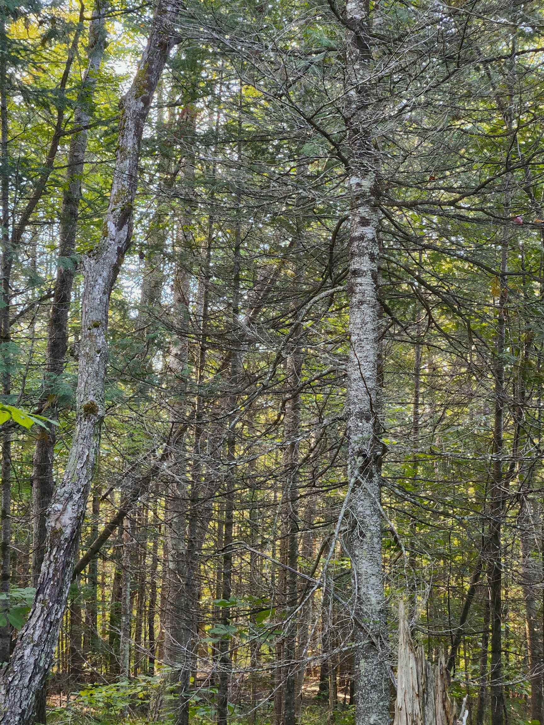 0 State Road, Kalkaska, MI, 49646