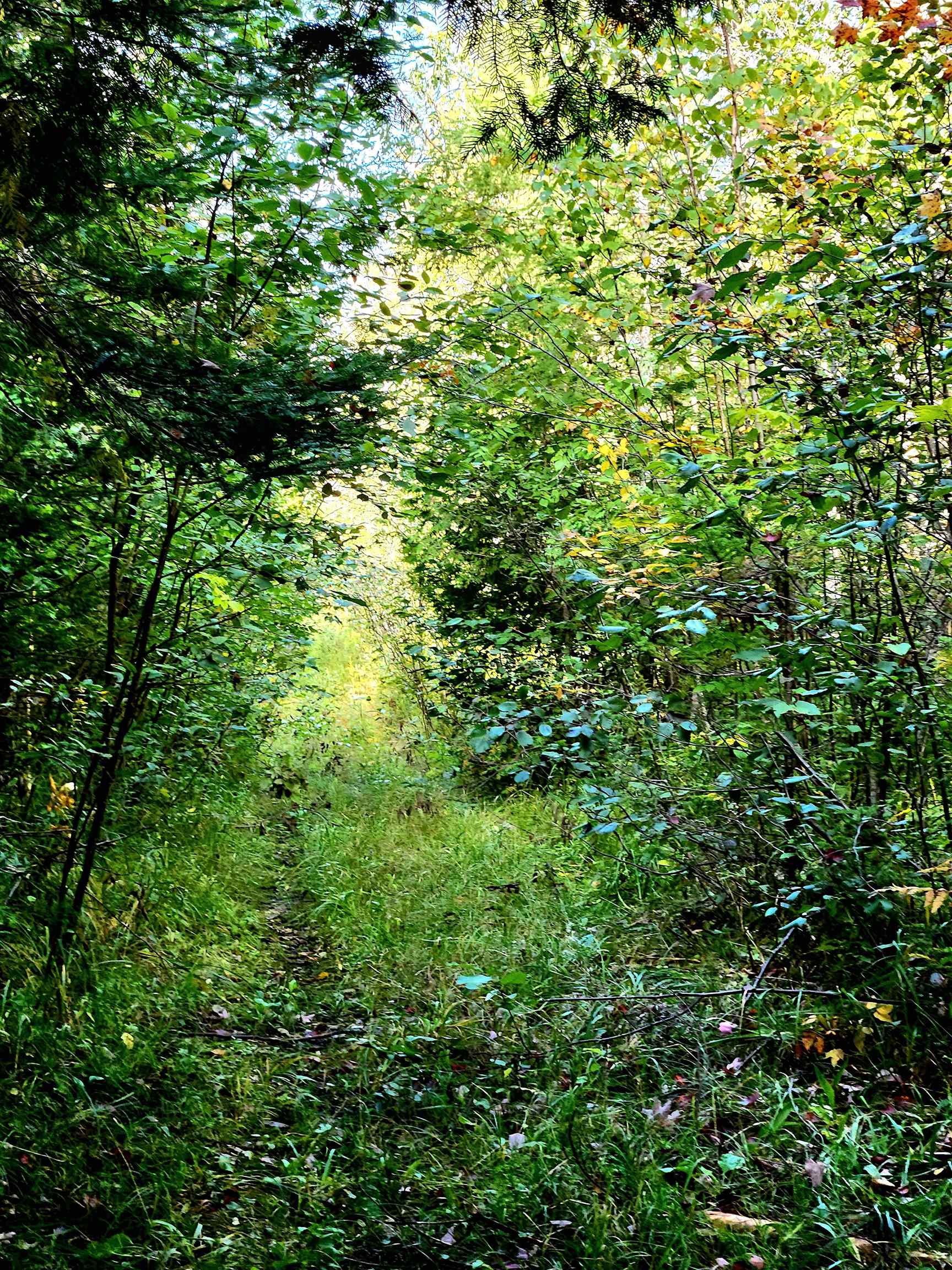 0 State Road, Kalkaska, MI, 49646