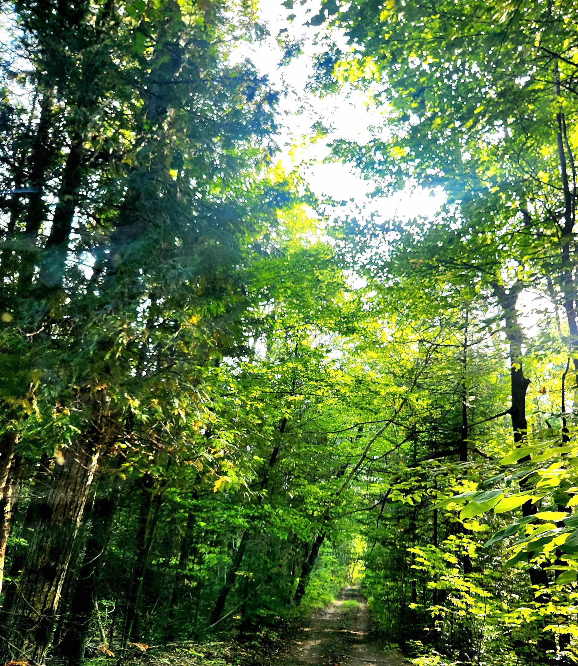 0 State Road, Kalkaska, MI, 49646