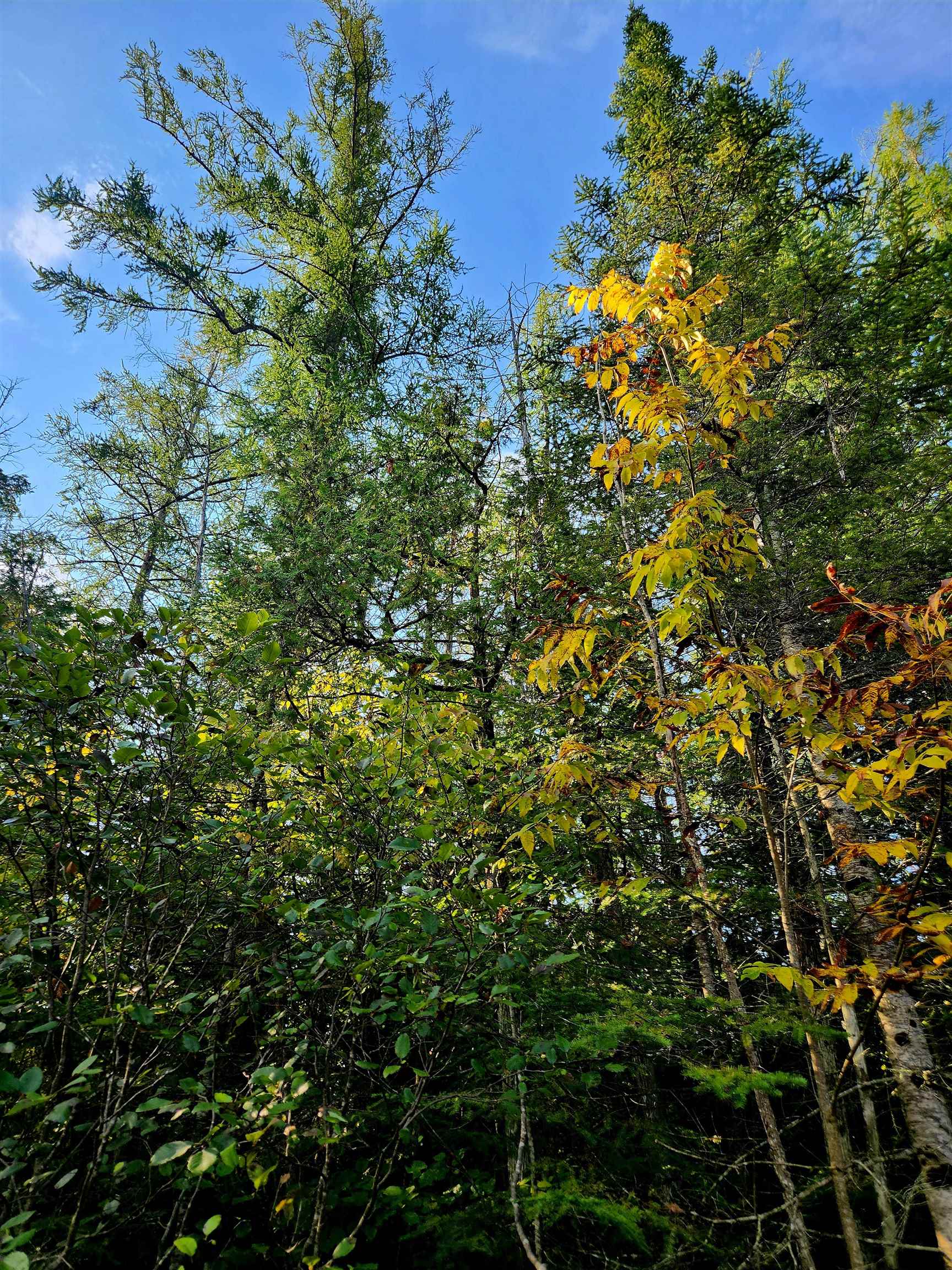 0 State Road, Kalkaska, MI, 49646