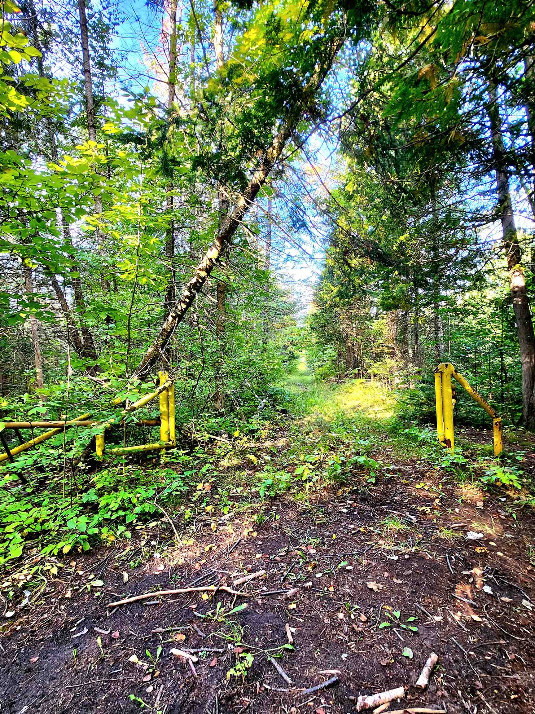 0 State Road, Kalkaska, MI, 49646