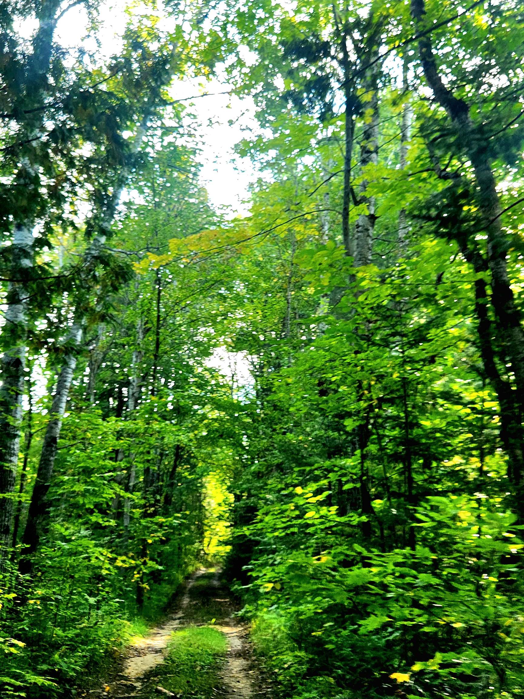 0 State Road, Kalkaska, MI, 49646