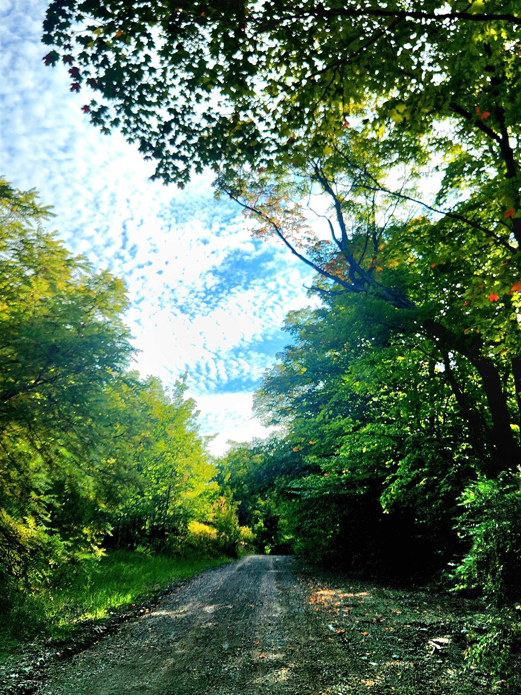 0 State Road, Kalkaska, MI, 49646