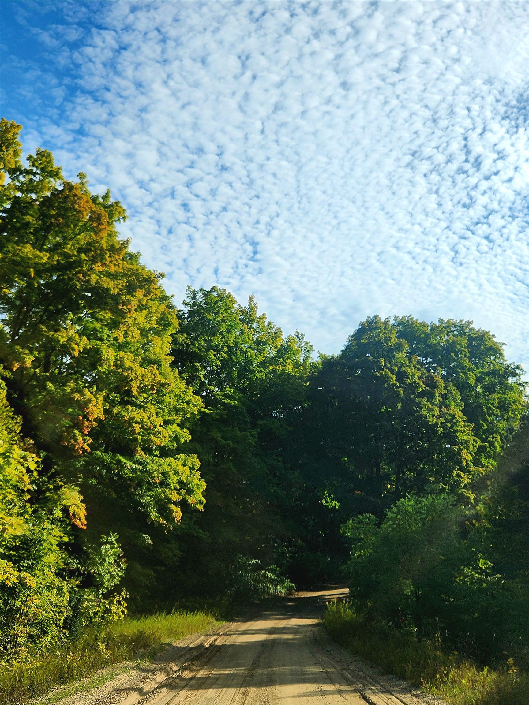 0 State Road, Kalkaska, MI, 49646