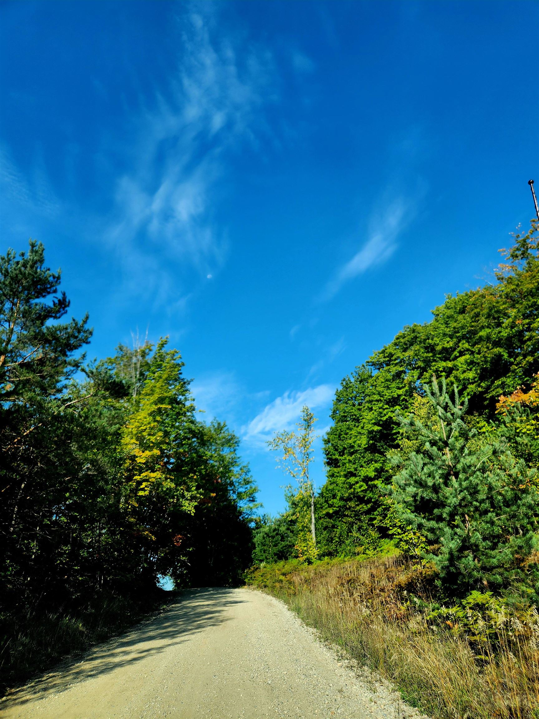 0 State Road, Kalkaska, MI, 49646