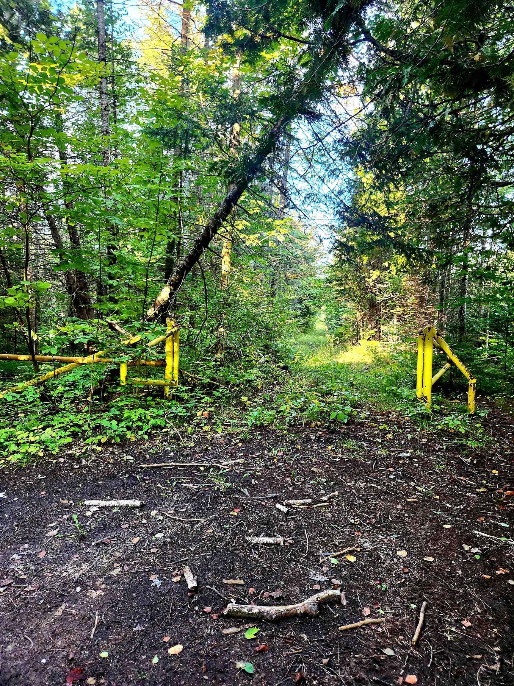 0 State Road, Kalkaska, MI, 49646