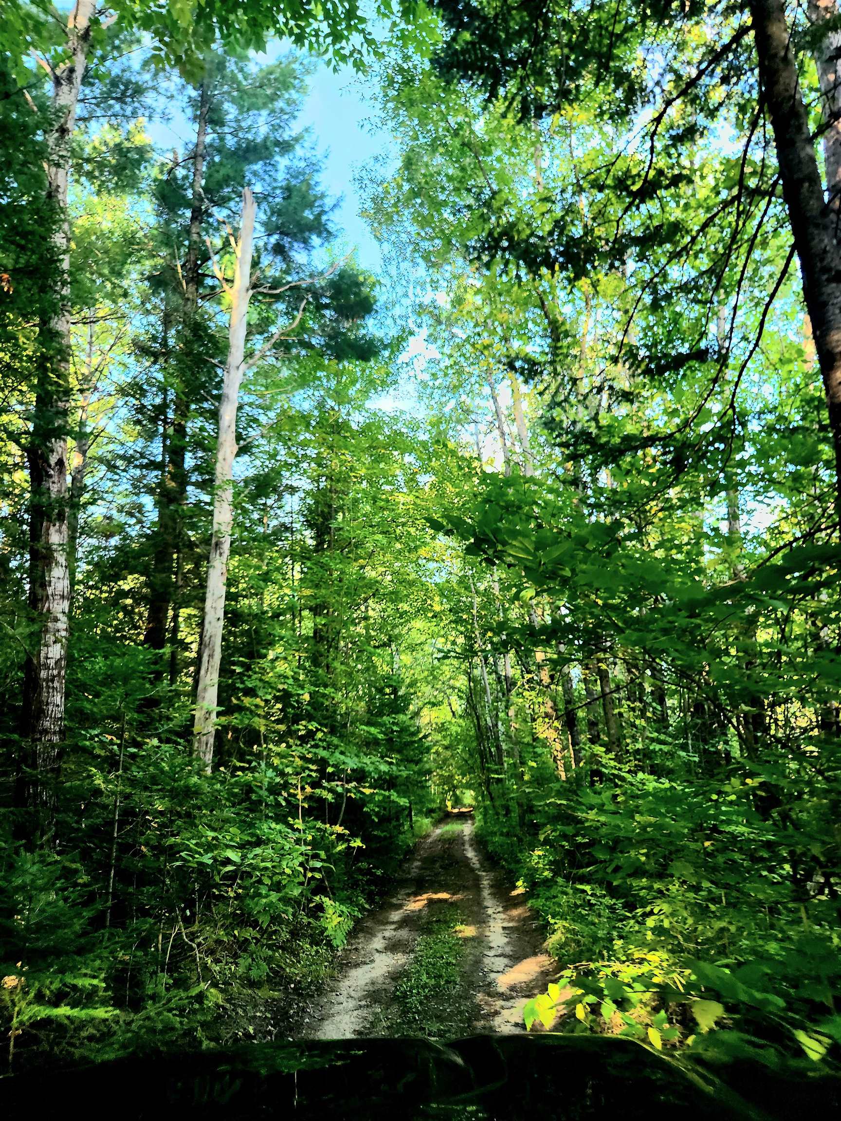 0 State Road, Kalkaska, MI, 49646