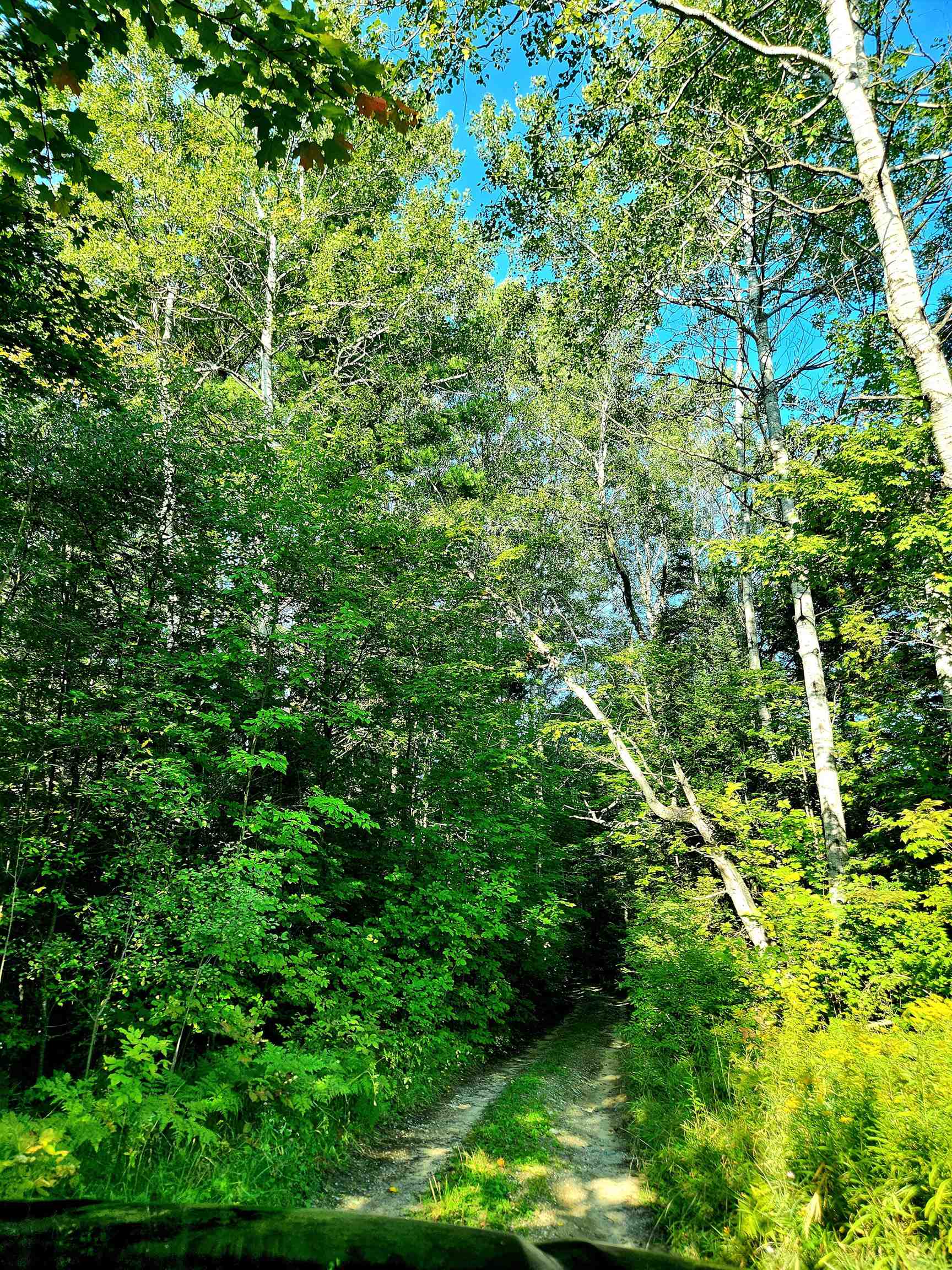 0 State Road, Kalkaska, MI, 49646