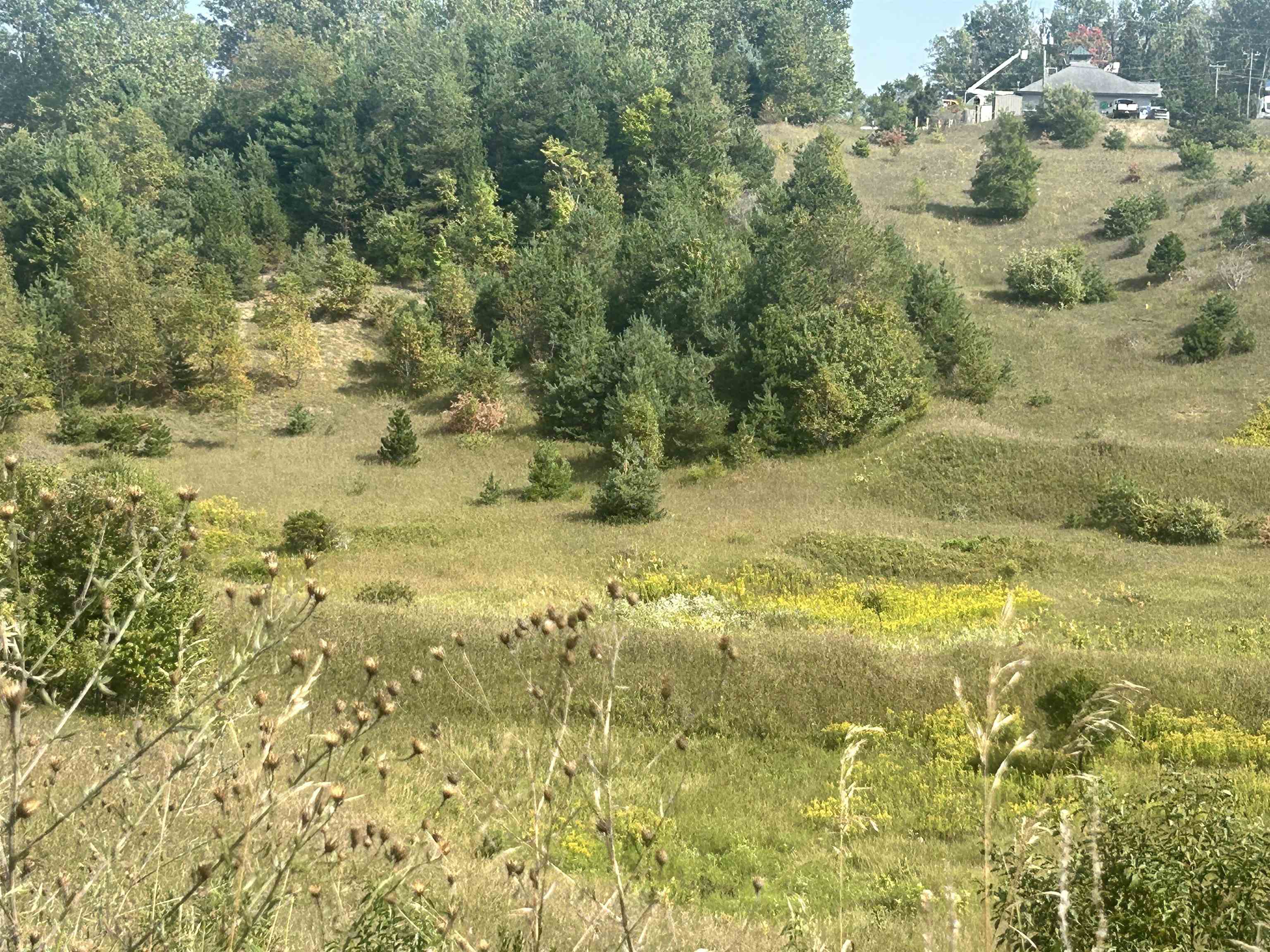 000 Solon Road photo 3