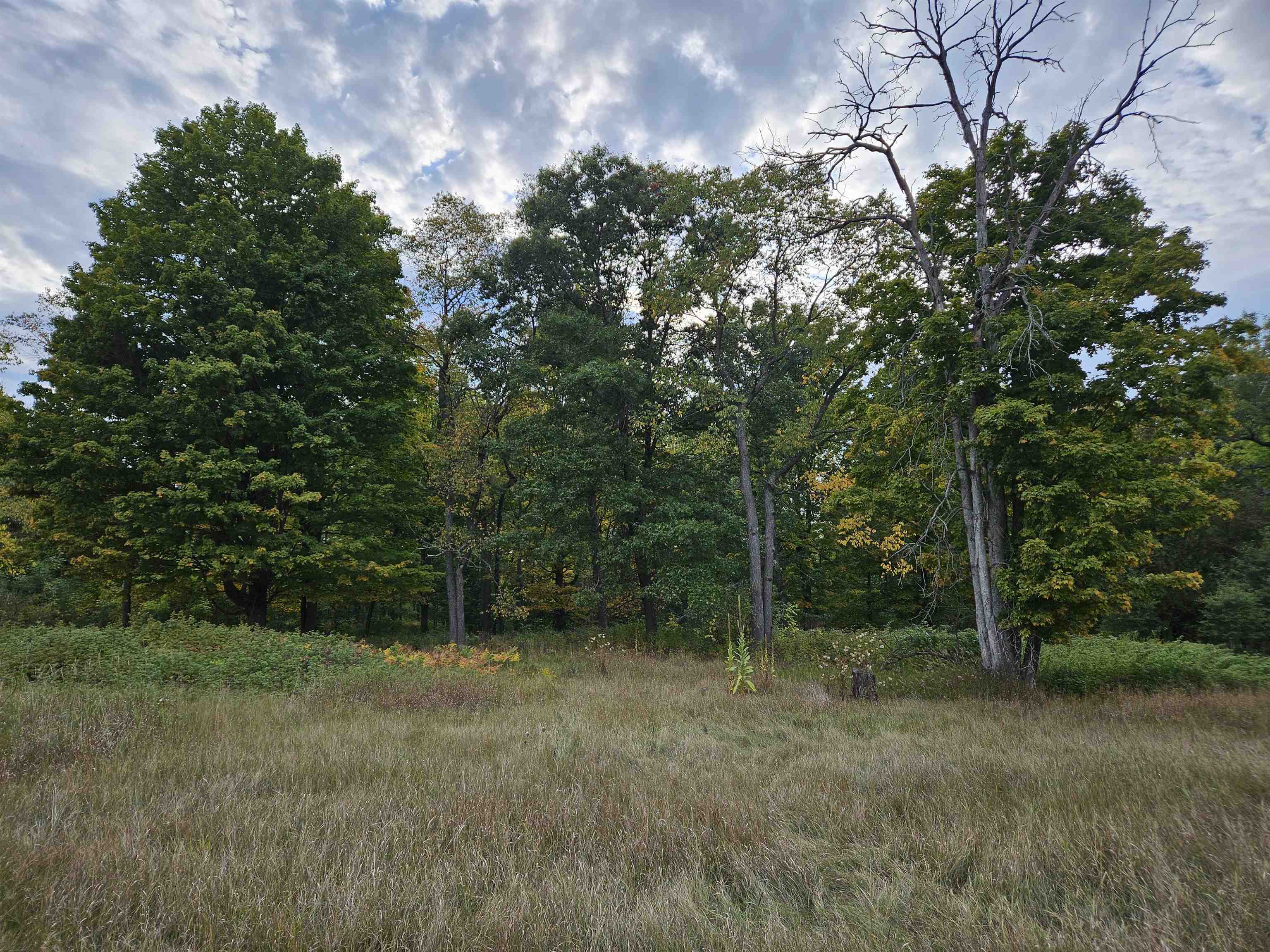 3rd image of 0 Twin Lake Rd, Marion, MI 49665 | MLS# 78080062932
