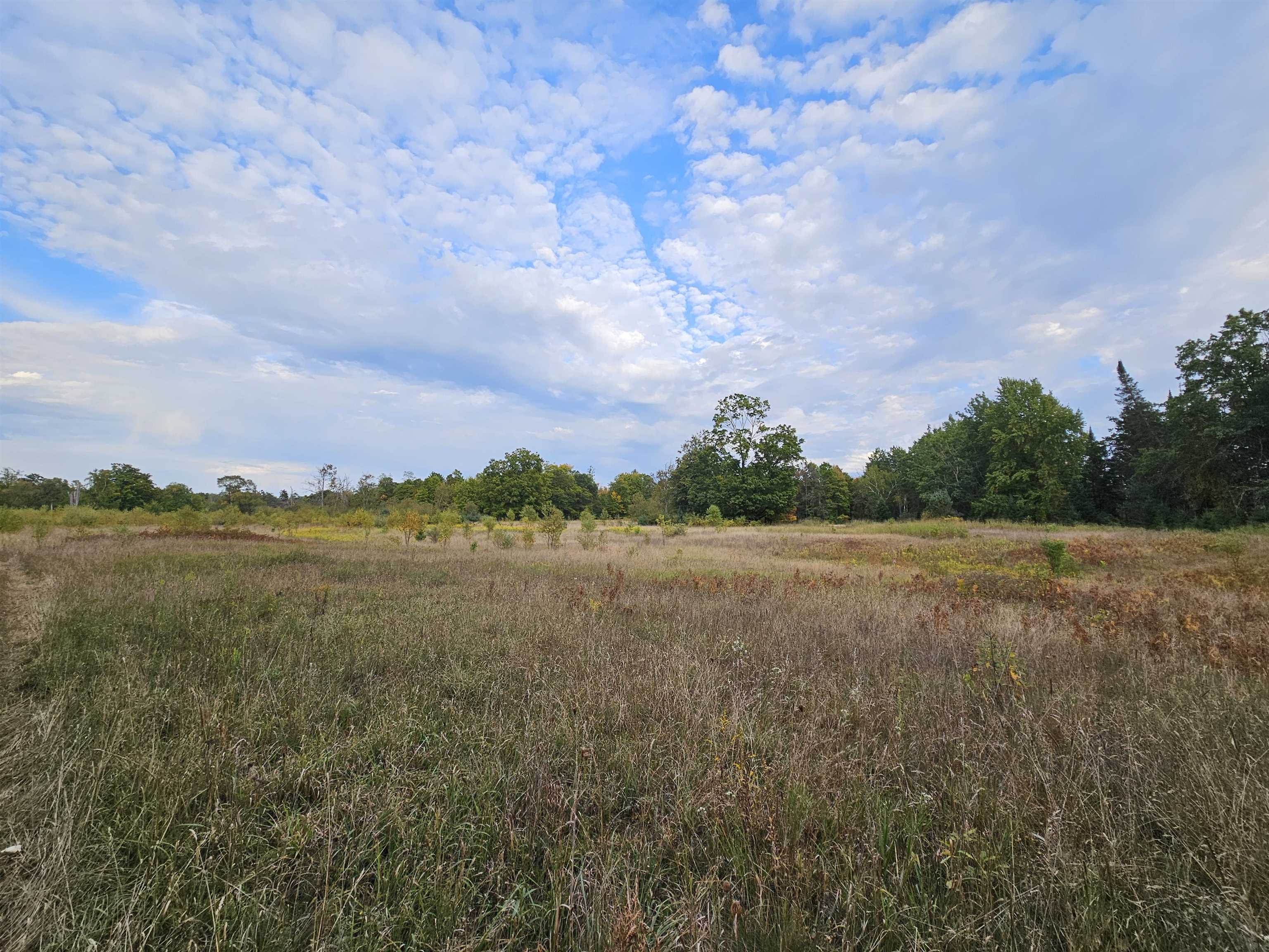 4th image of 0 Twin Lake Rd, Marion, MI 49665 | MLS# 78080062932