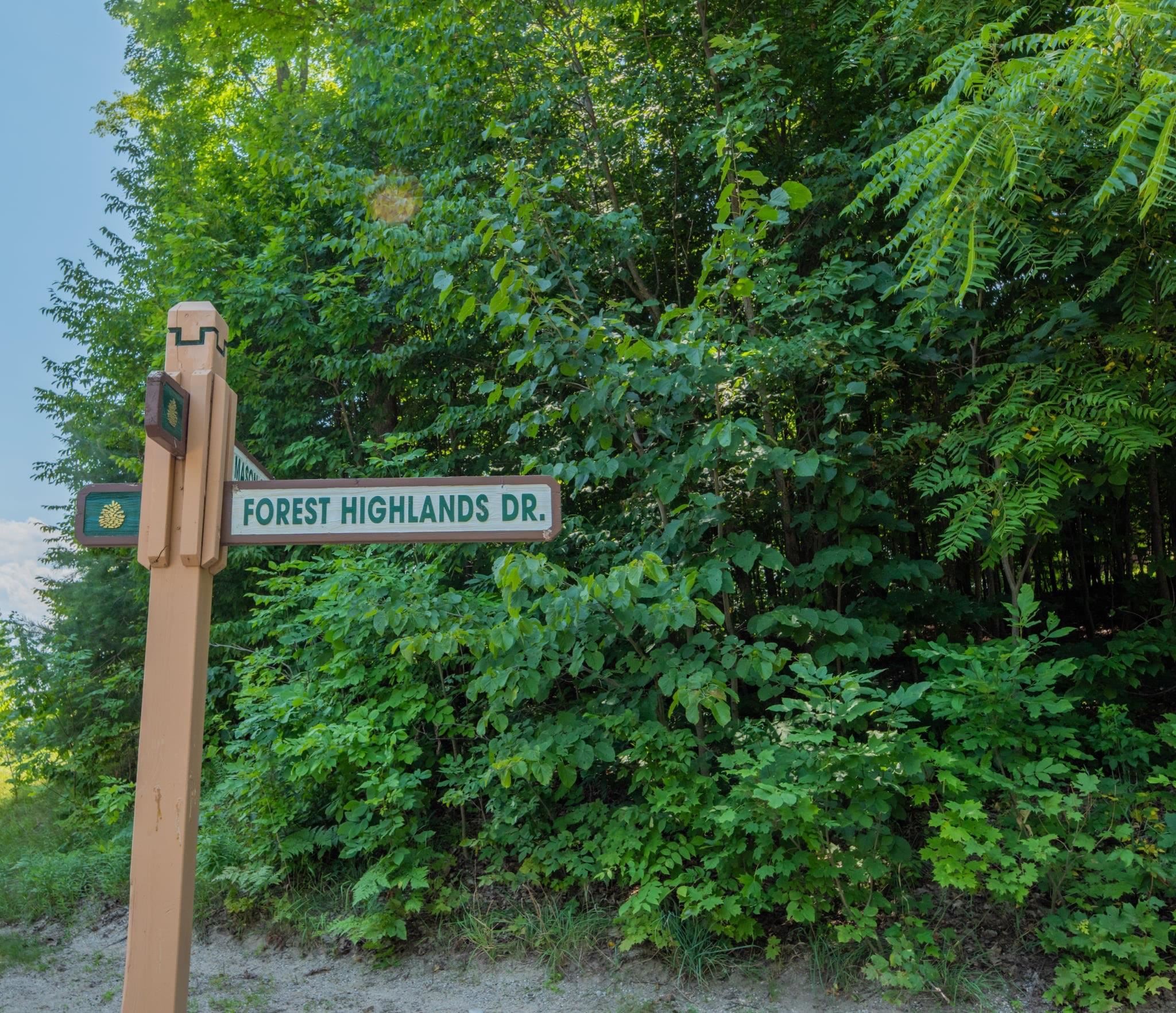 Lot 165 Forest Highlands Lot: 165 photo 1