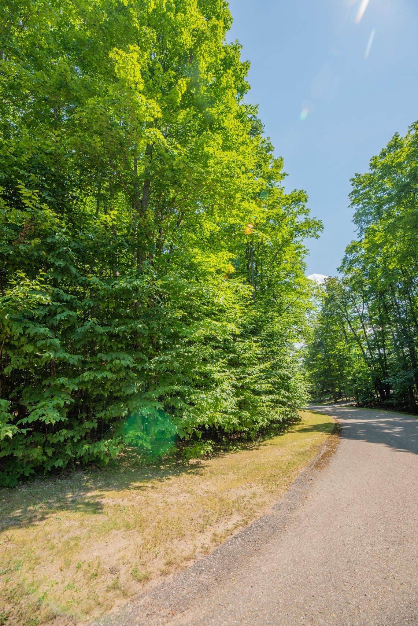 Lot 165 Forest Highlands Lot: 165 photo 2