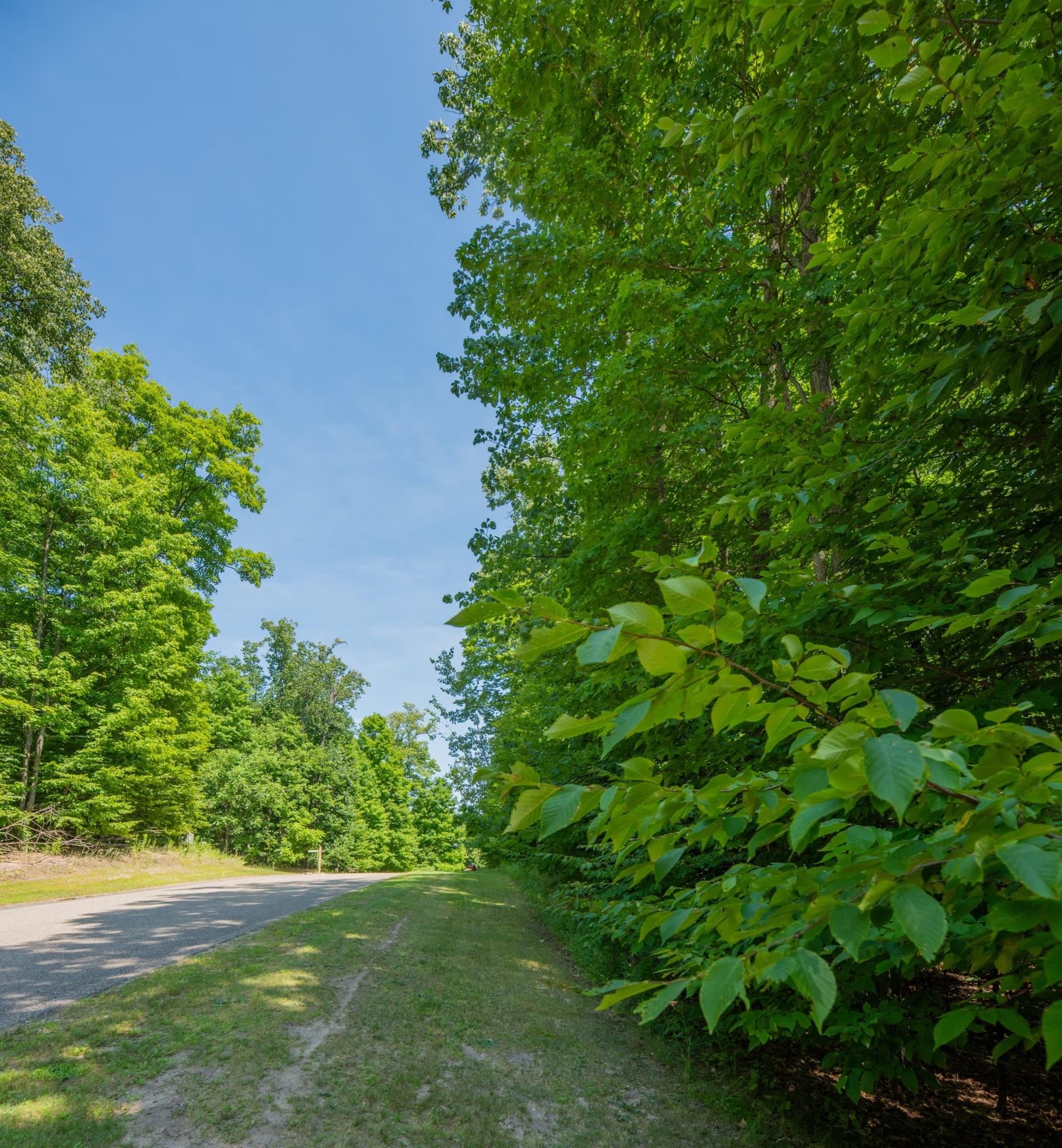 Lot 165 Forest Highlands Lot: 165 photo 3