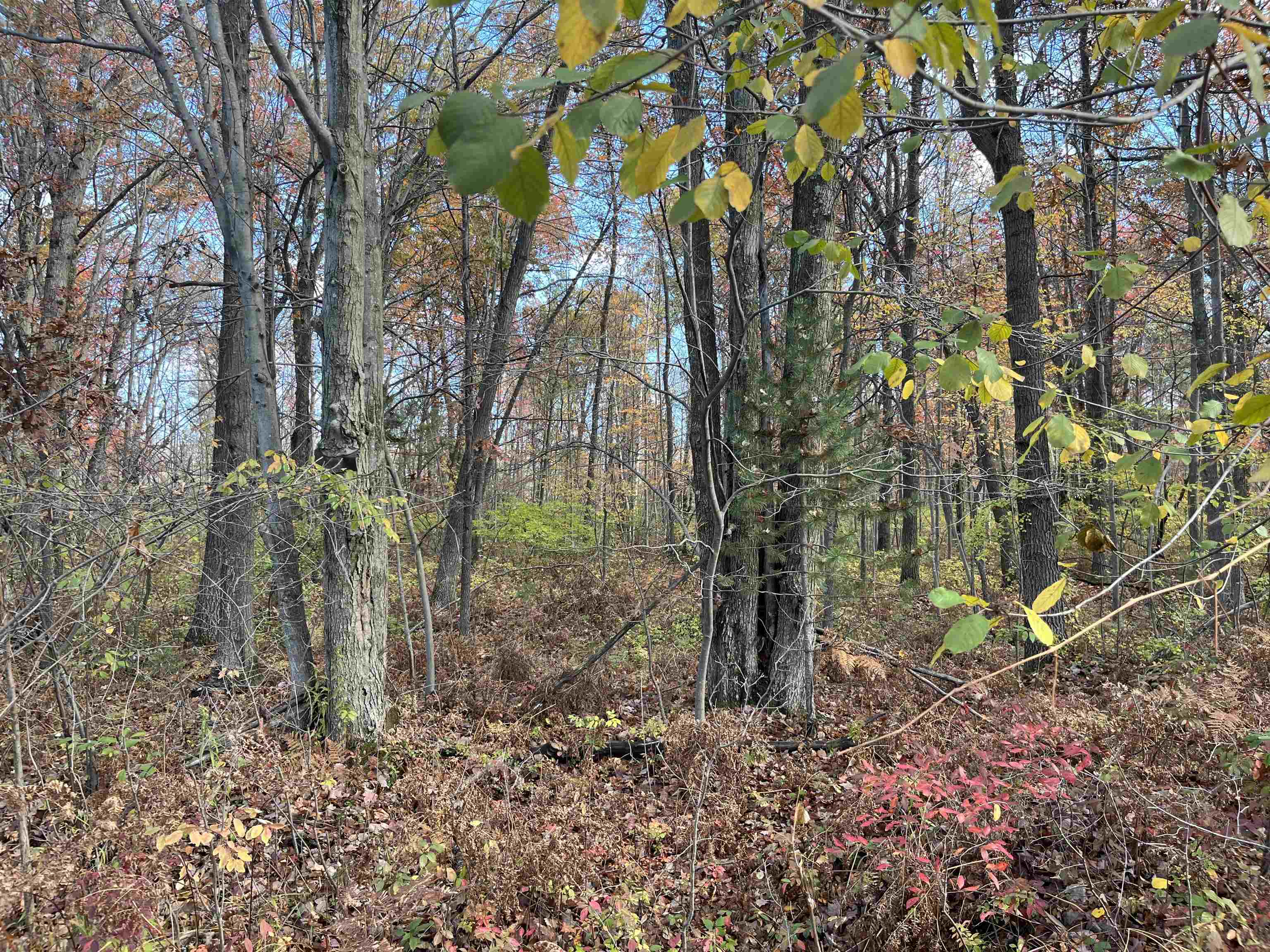 Photo of property for sale at NKA Husak Road, Omer MI 48749