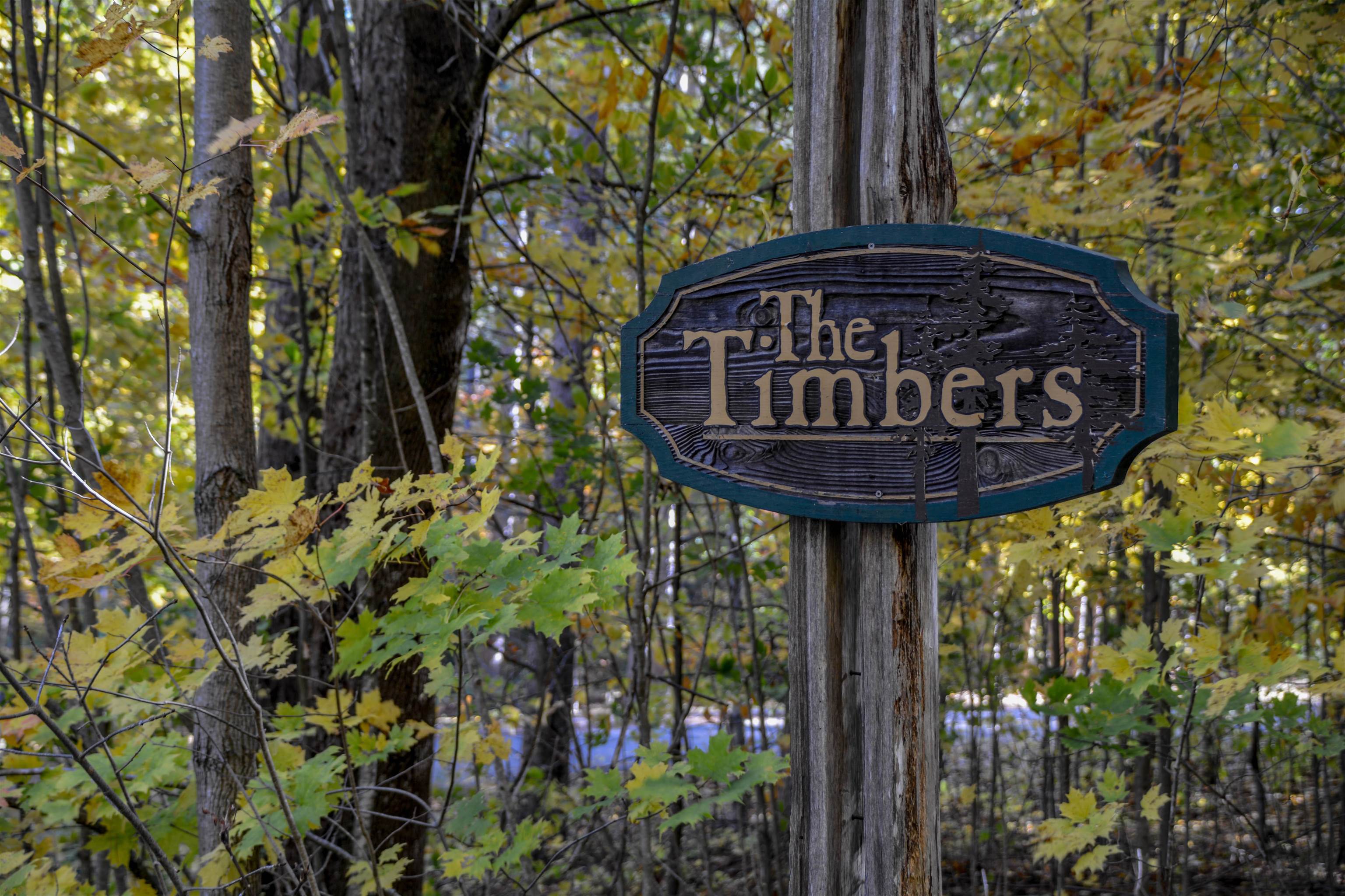 W Timber Lane, Empire, MI, 49630