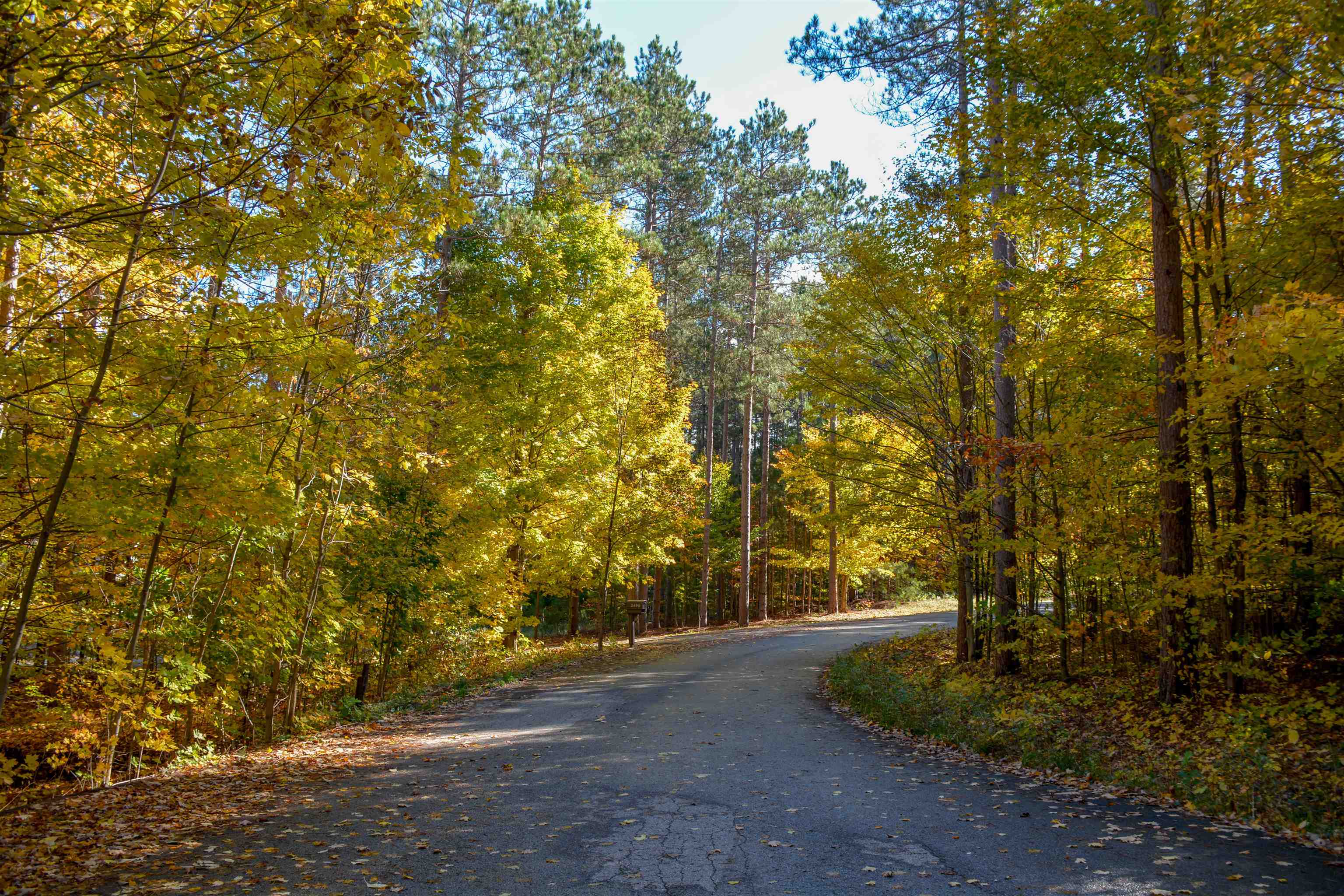 W Timber Lane, Empire, MI, 49630