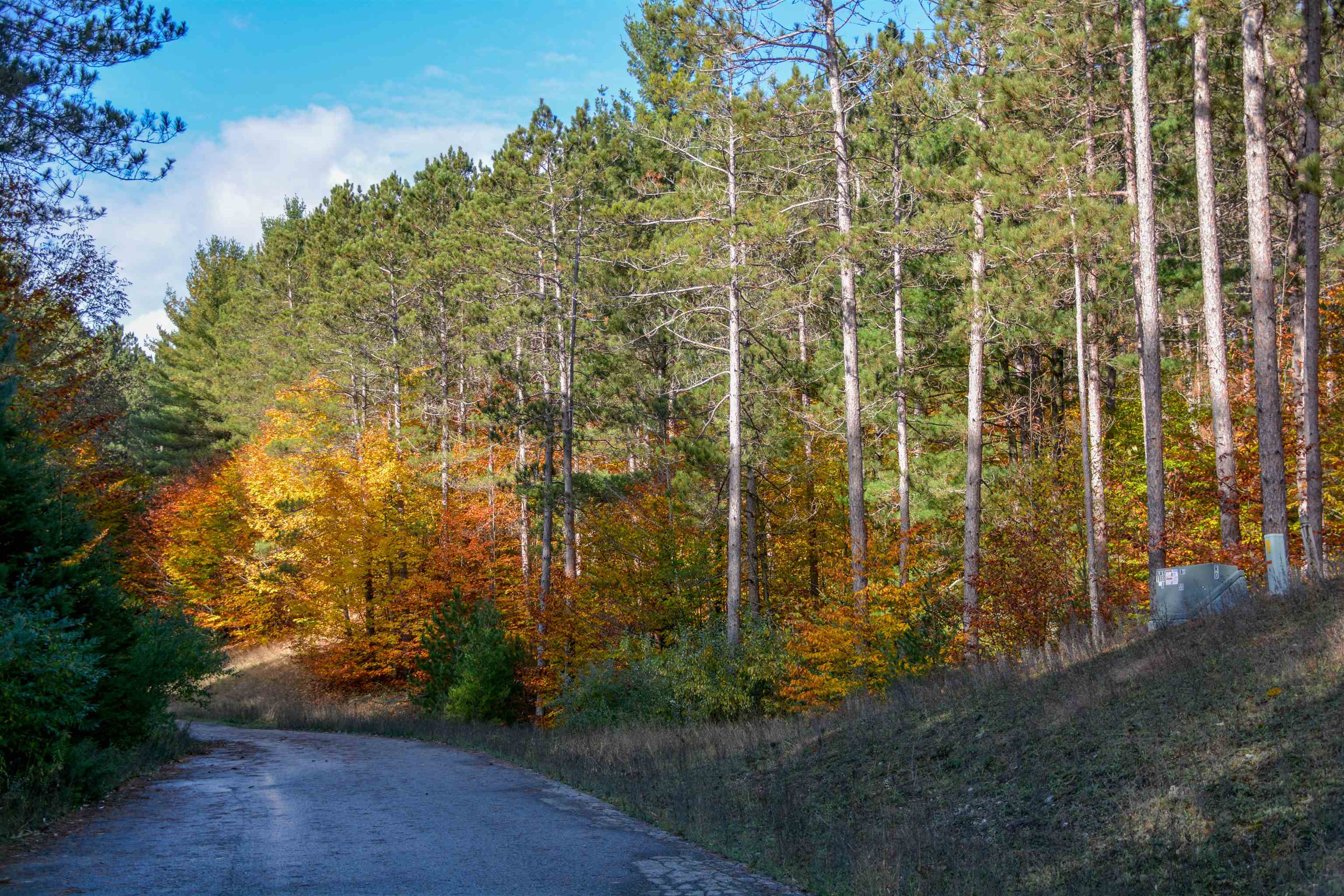 W Timber Lane, Empire, MI, 49630