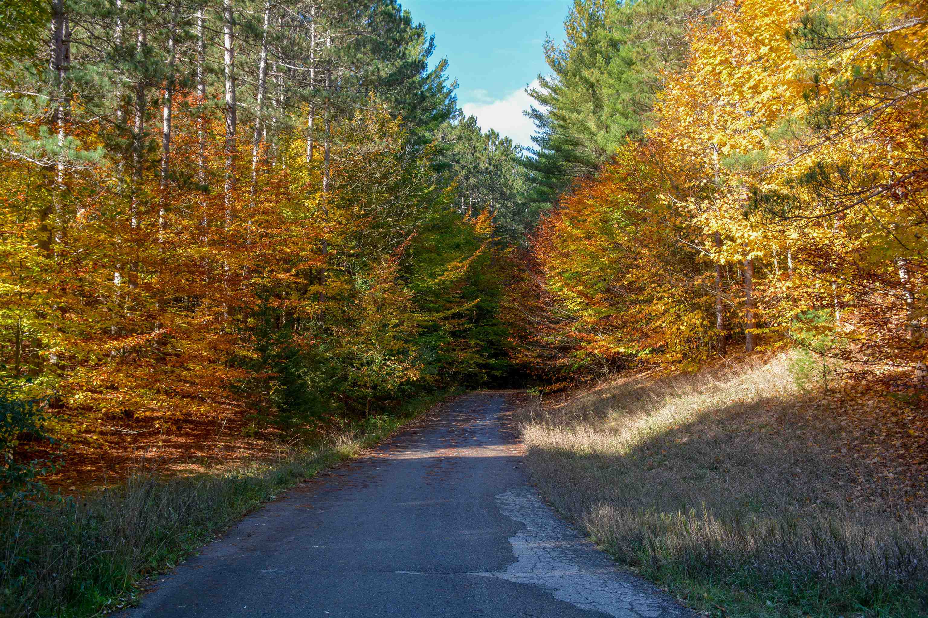 W Timber Lane, Empire, MI, 49630